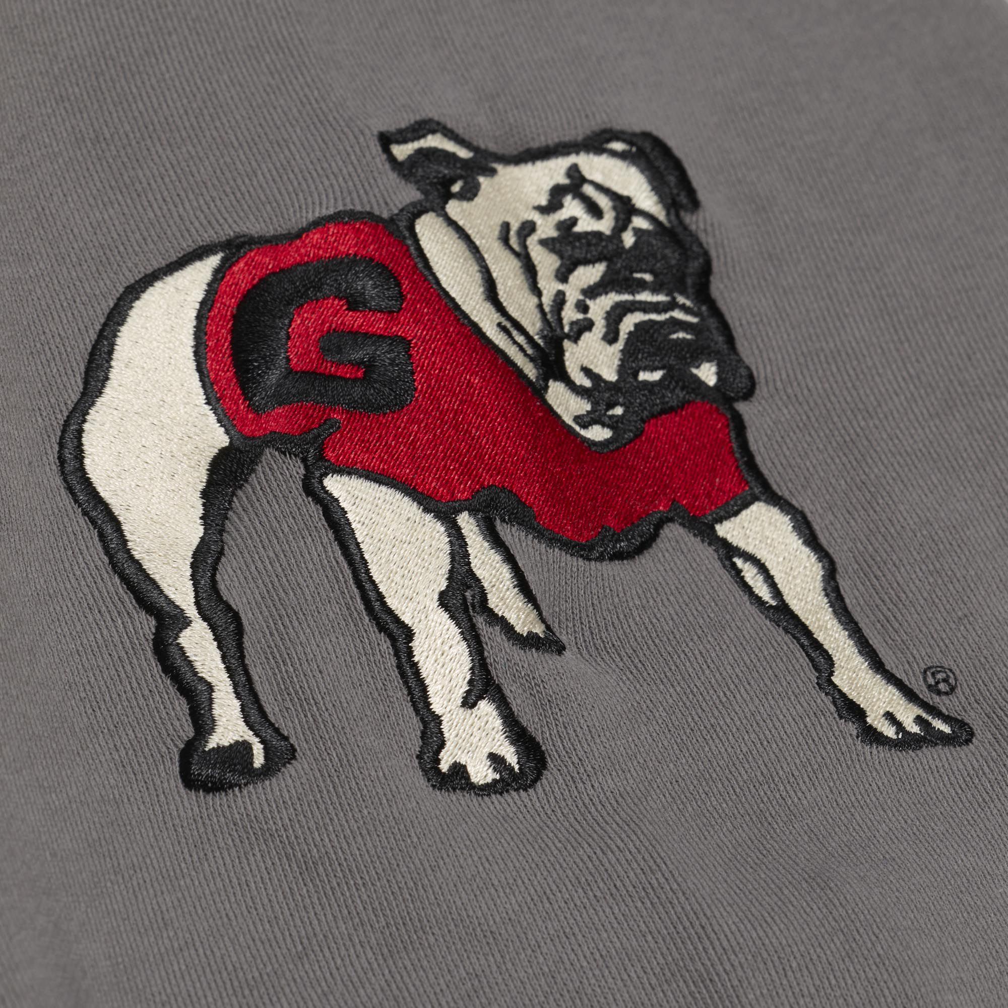 Mitchell & Ness Men's Georgia Bulldogs Dark Grey Heritage Hues Hoodie product image