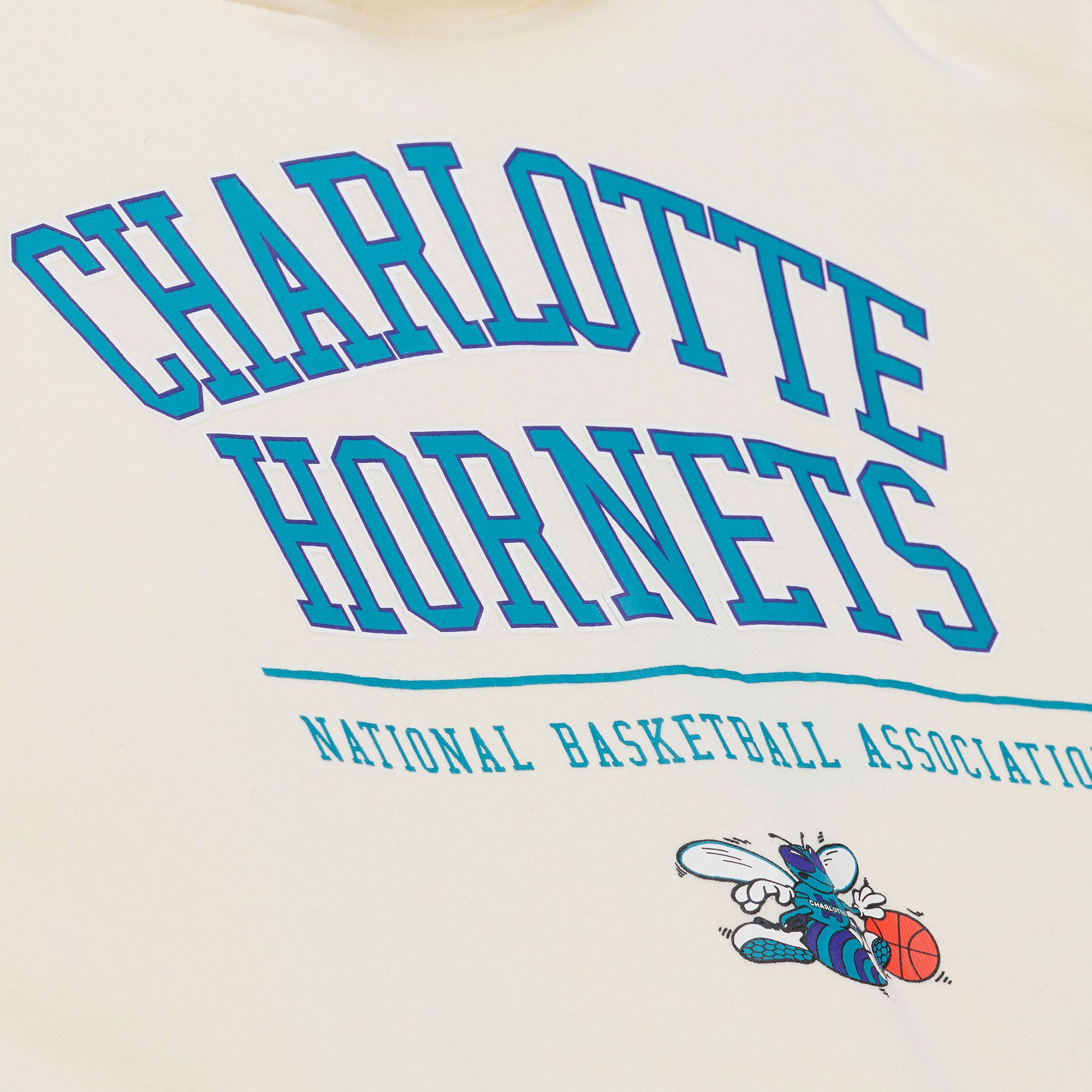 Mitchell & Ness Men's Charlotte Hornets Off White All In Hoodie product image