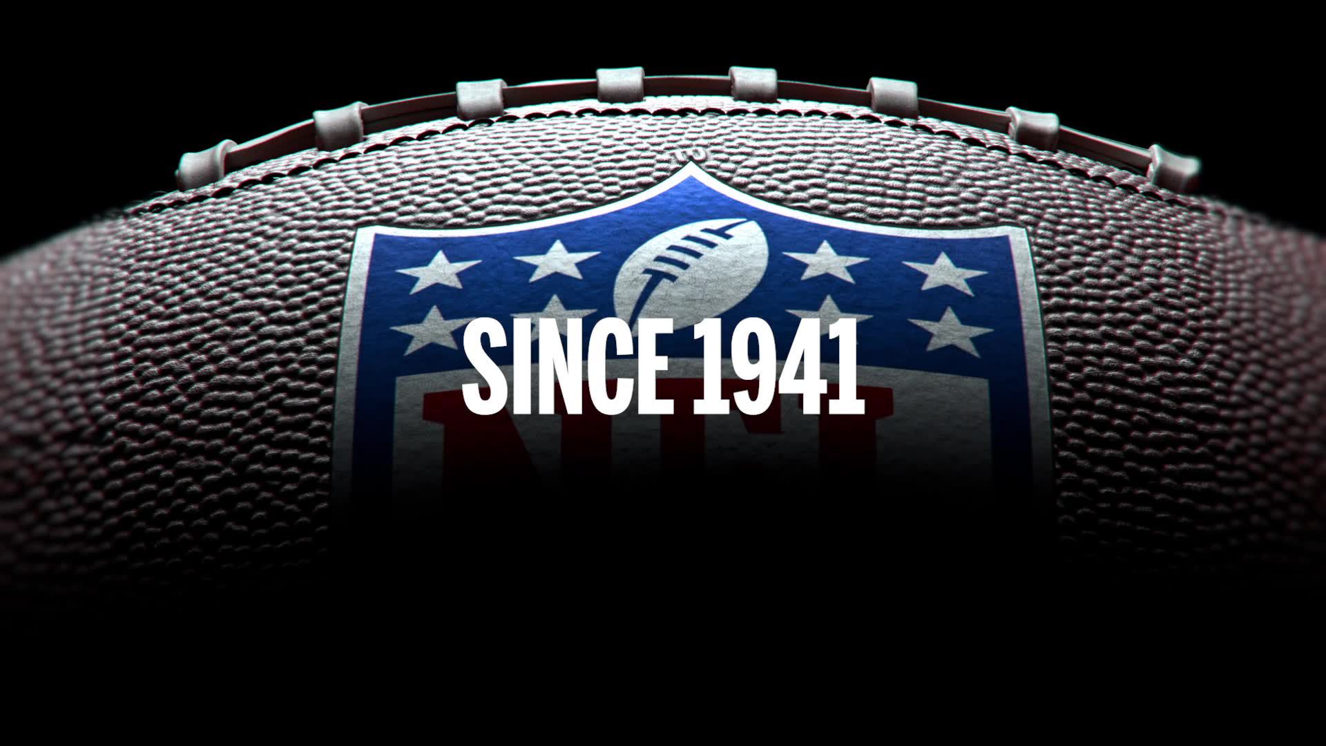 Wilson NFL "The Duke" Official Football product