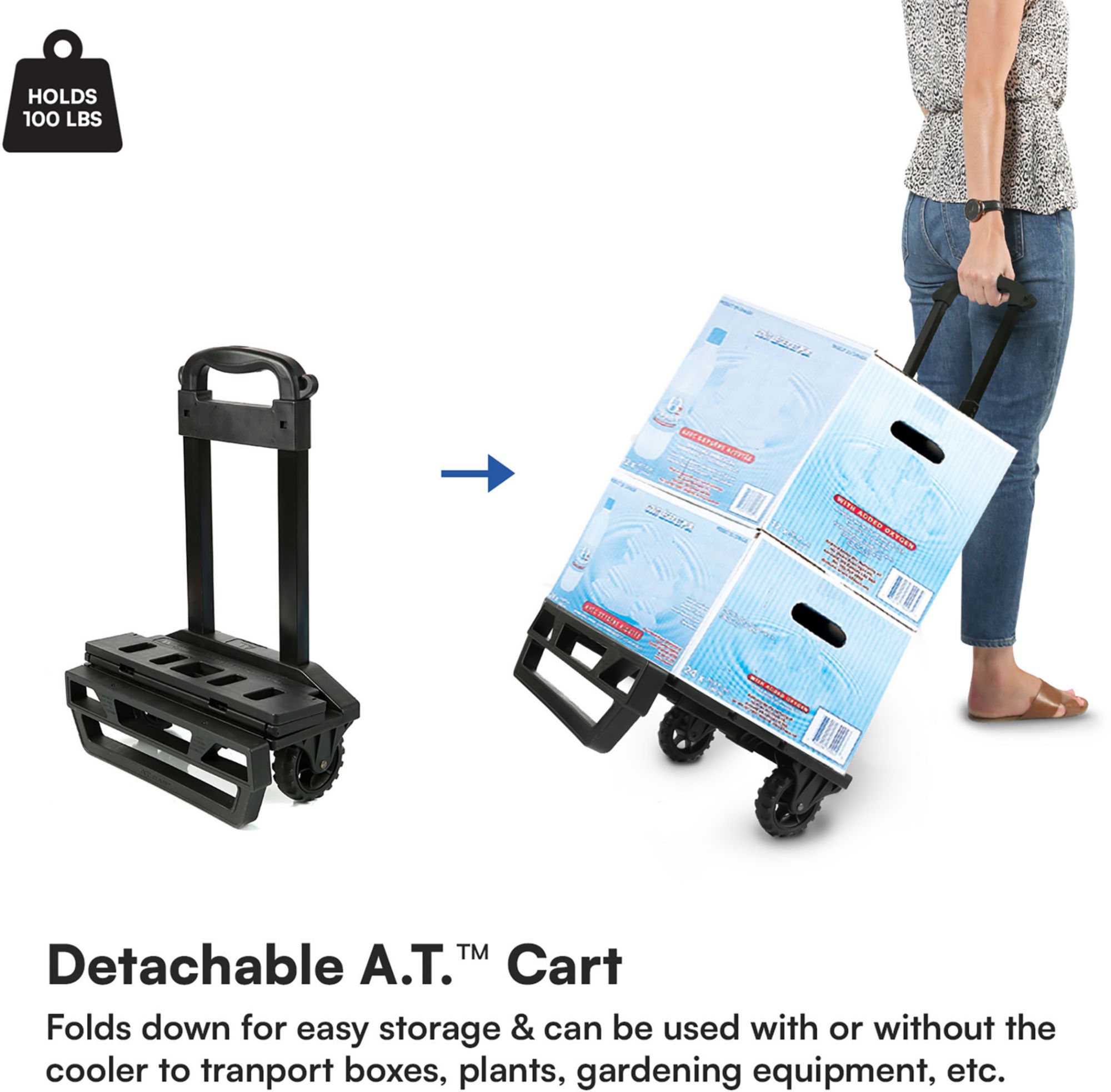 Titan 60 Can Collapsible Wheeled Cooler product image