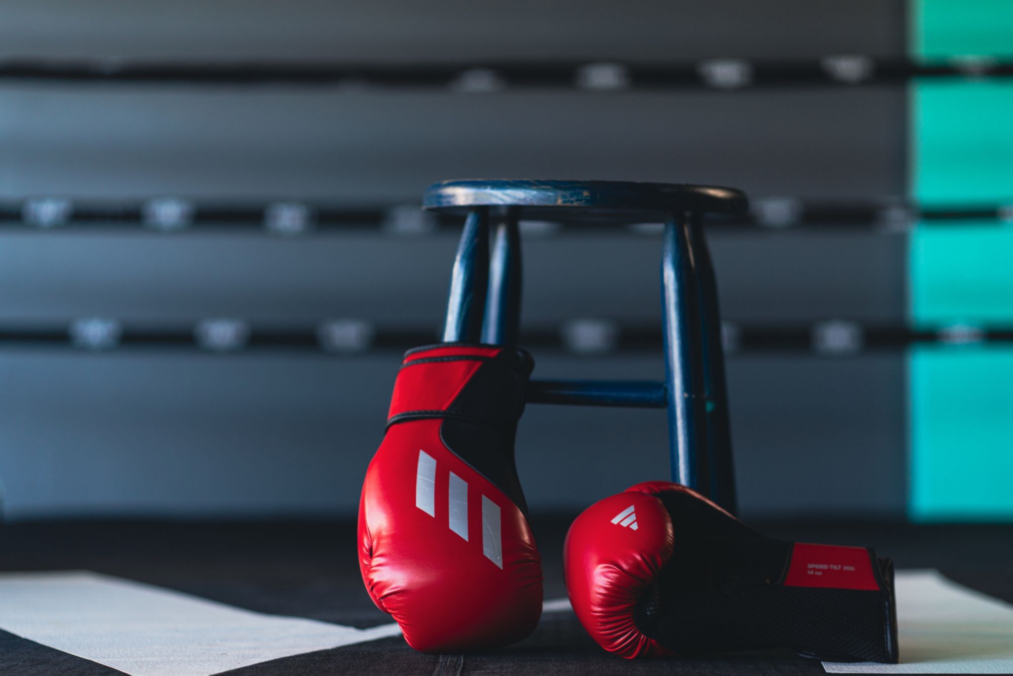 adidas TILT 200 Boxing Gloves product image