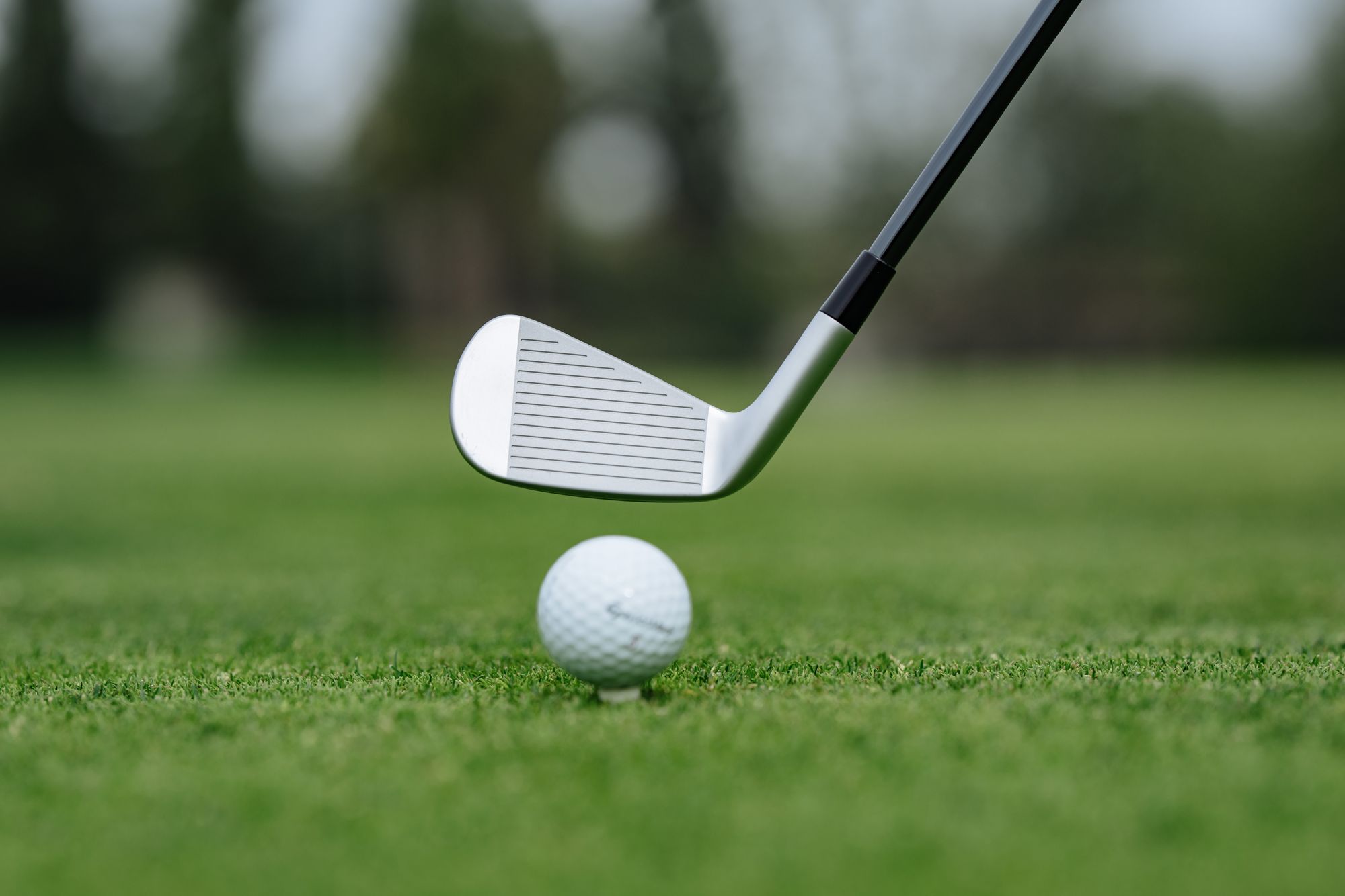 TaylorMade P-UDI Utility Iron product image