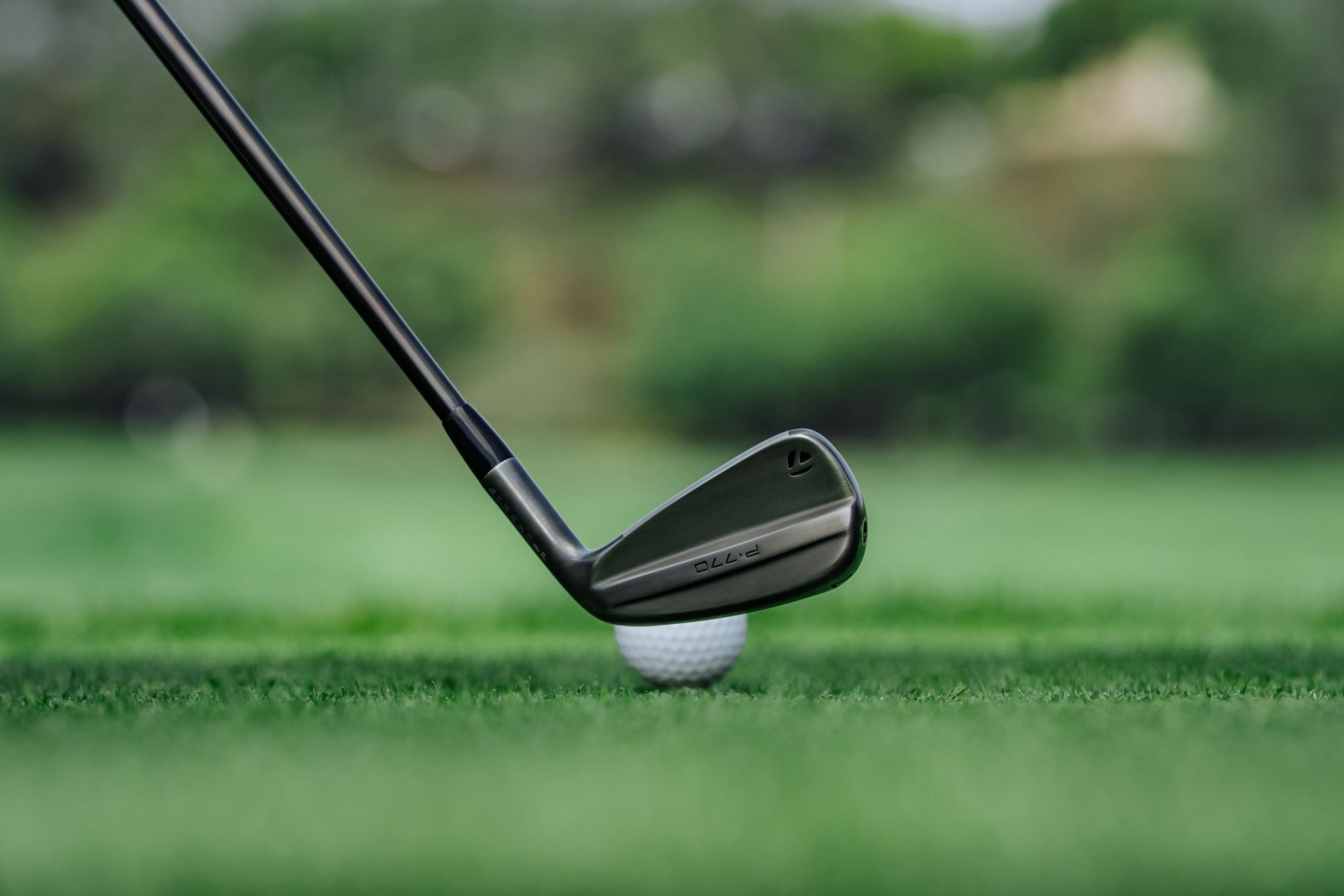 TaylorMade P770 Battle Worn Irons product image