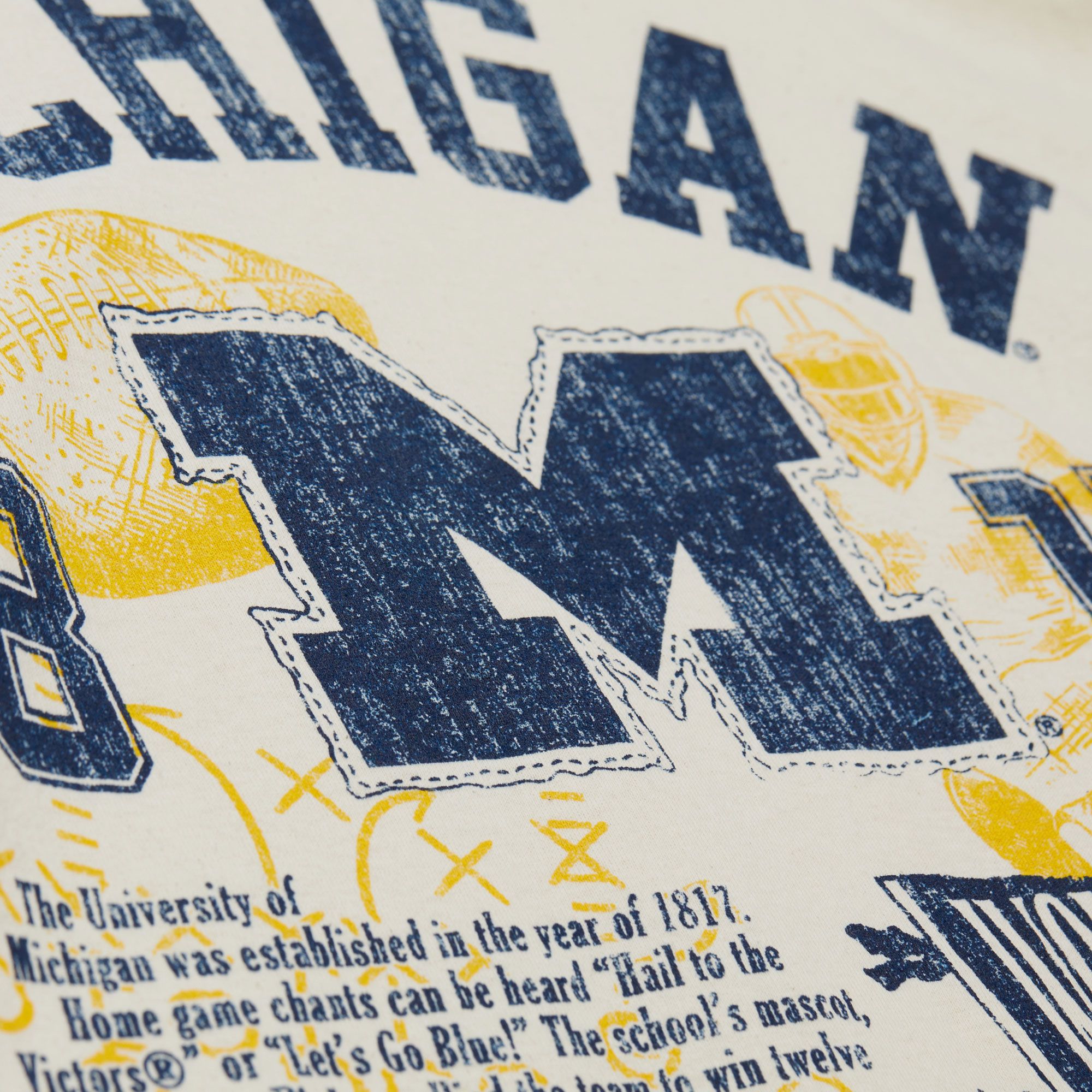 Mitchell & Ness Men's Michigan Wolverines Natural Heritage Scholar Short Sleeve T-Shirt product image