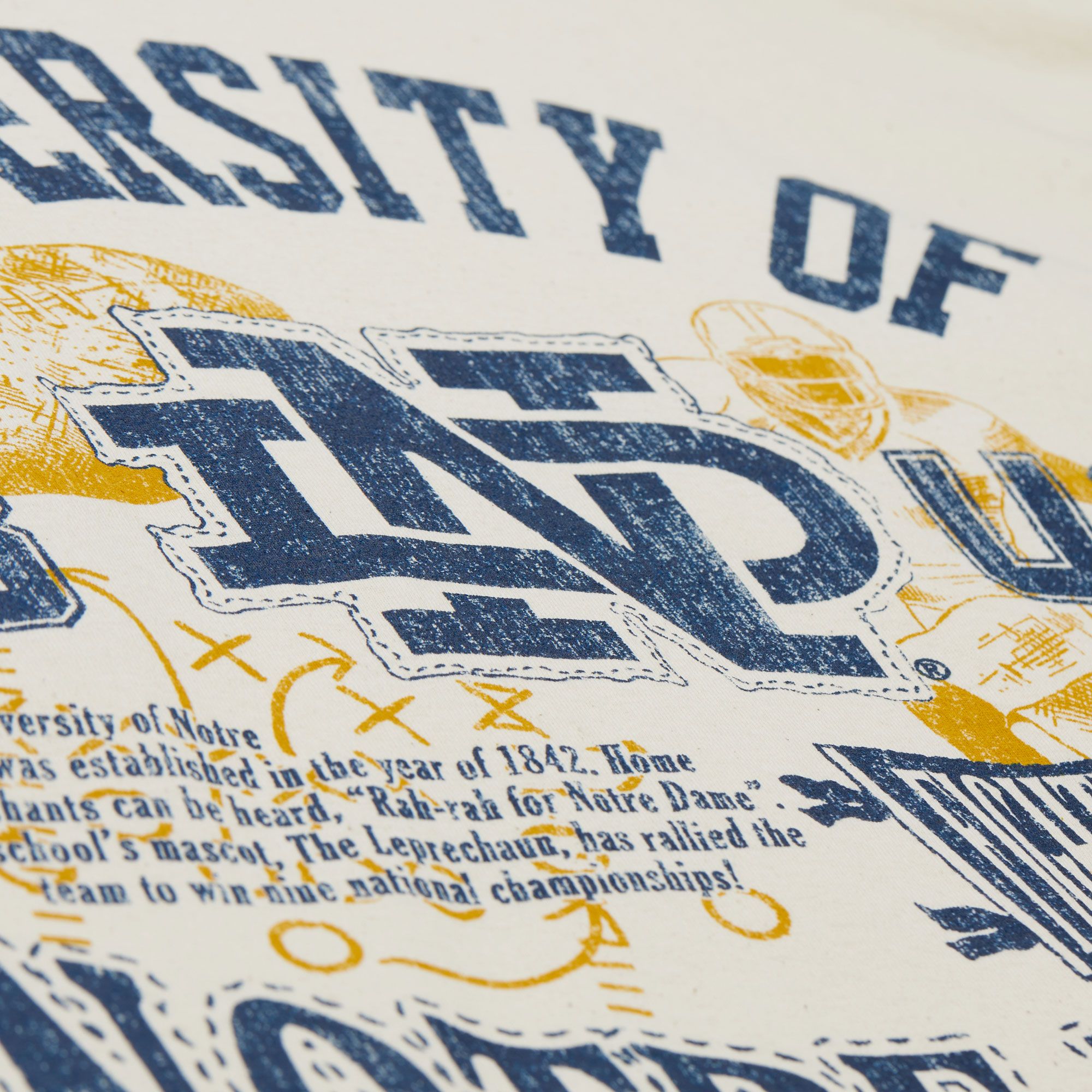 Mitchell & Ness Men's Notre Dame Fighting Irish Natural Heritage Scholar Short Sleeve T-Shirt product image