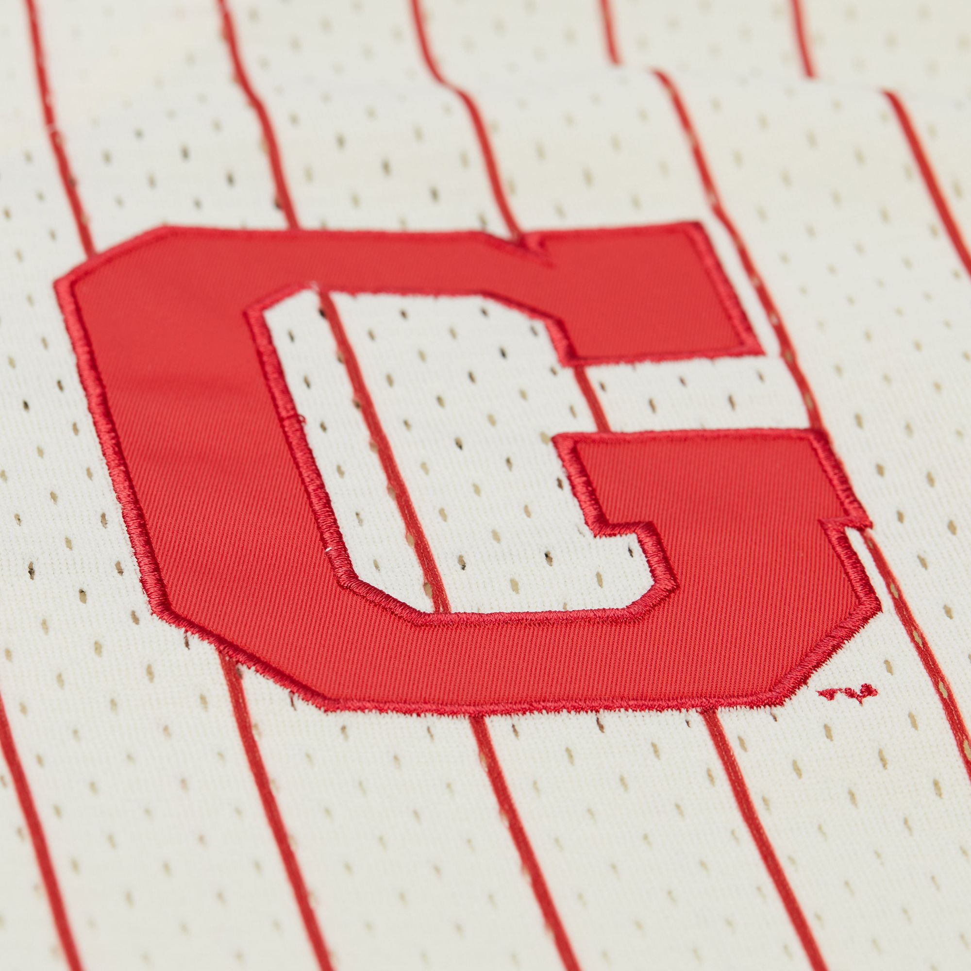 Mitchell & Ness Men's Georgia Bulldogs Cream Button Front On Campus Mesh Jersey product image