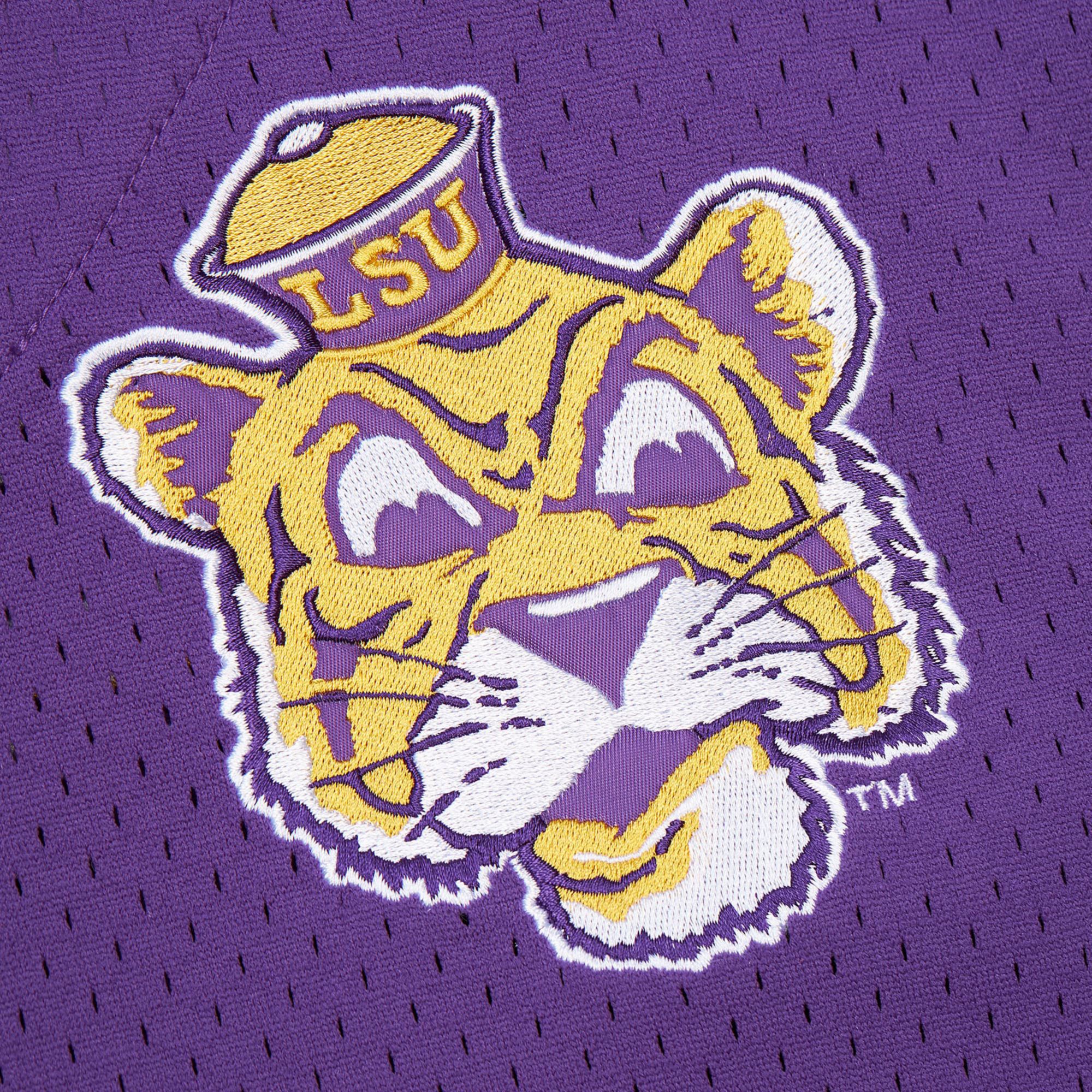 Mitchell & Ness Men's LSU Tigers Purple Gametime Mesh Jersey product image