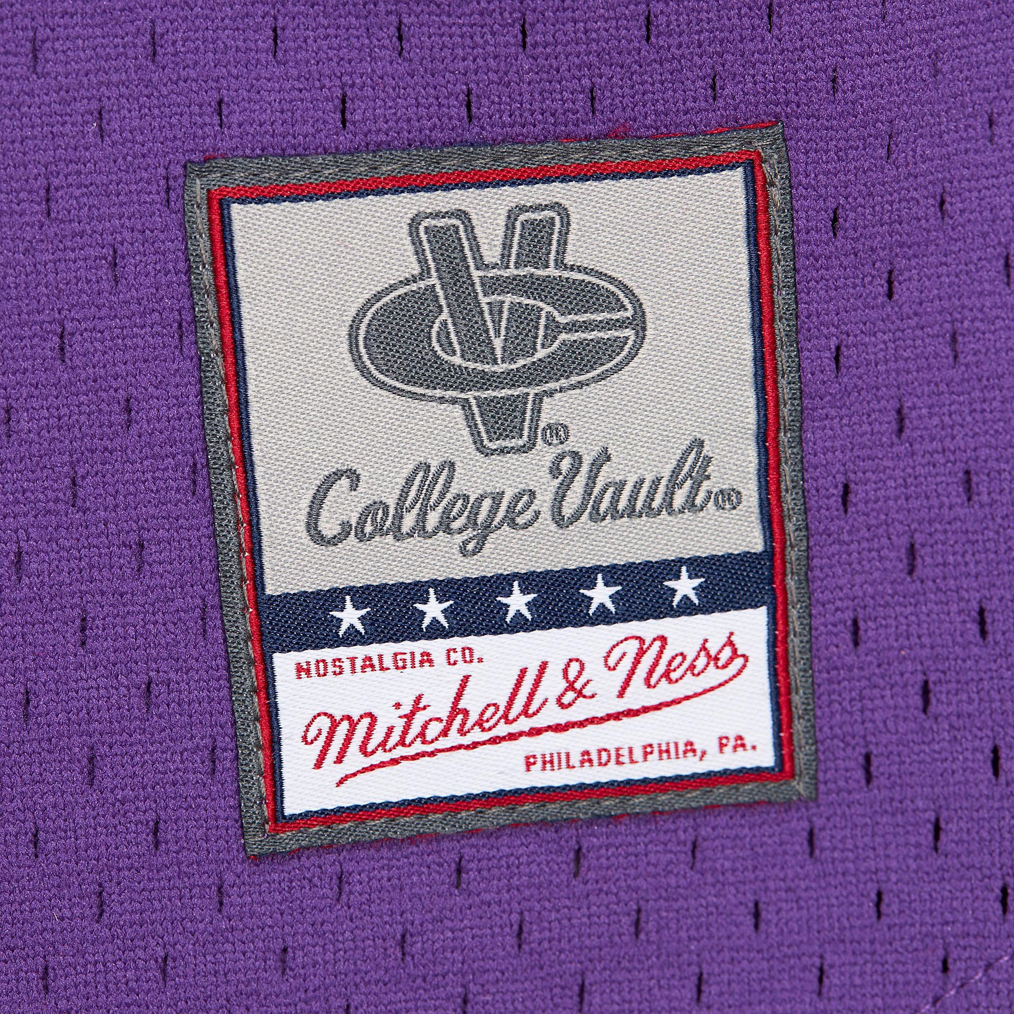 Mitchell & Ness Men's LSU Tigers Purple Gametime Mesh Jersey product image