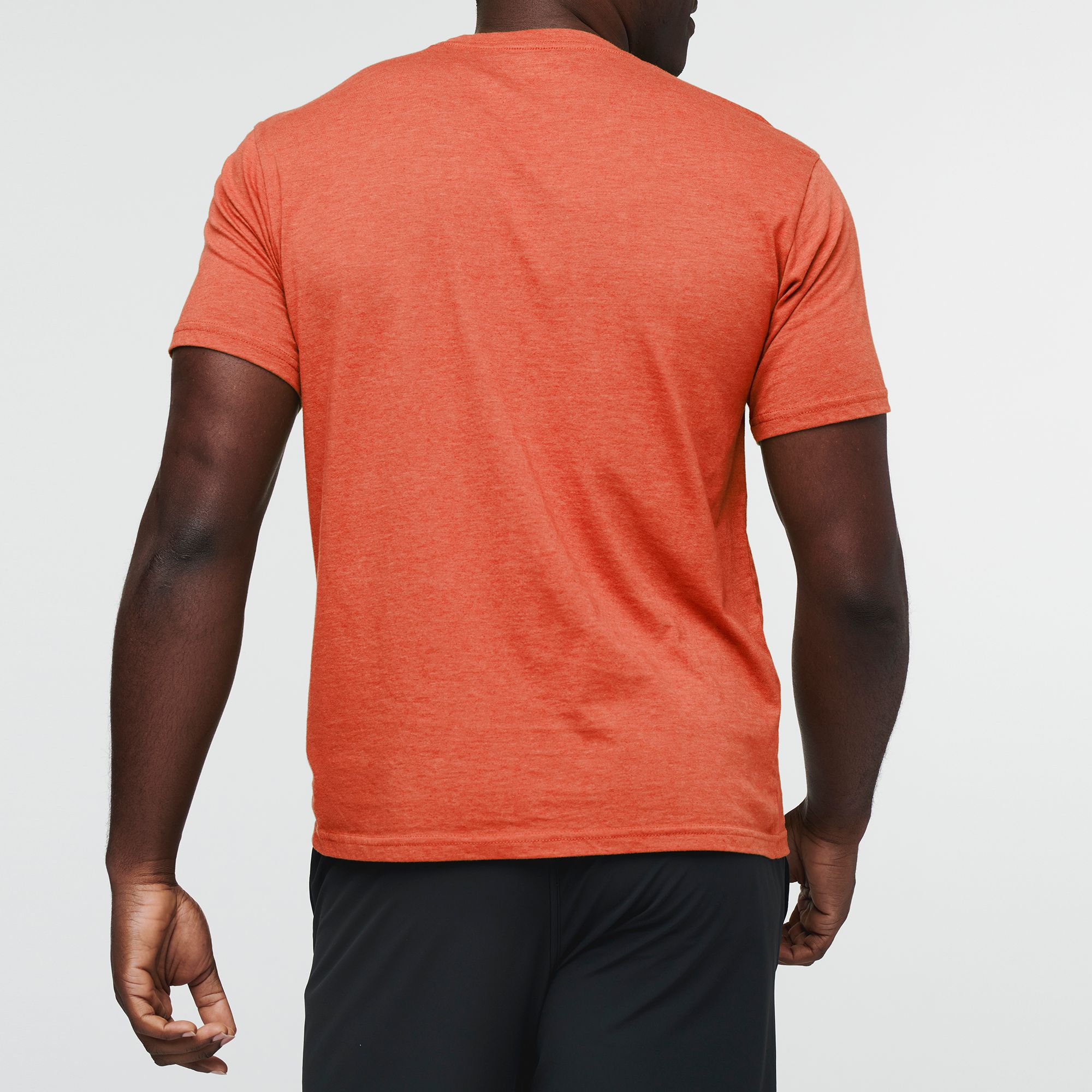 Cotopaxi Men's Topo Llama T-Shirt product image