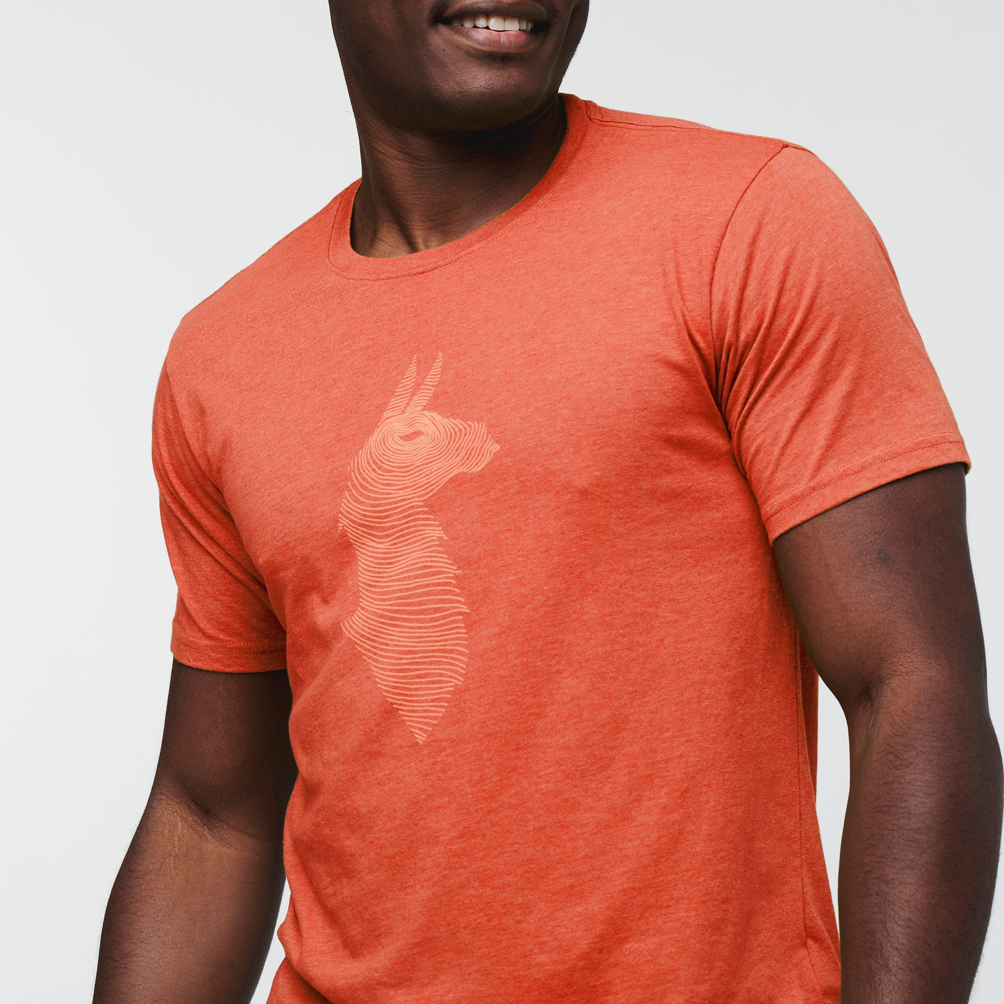 Cotopaxi Men's Topo Llama T-Shirt product image