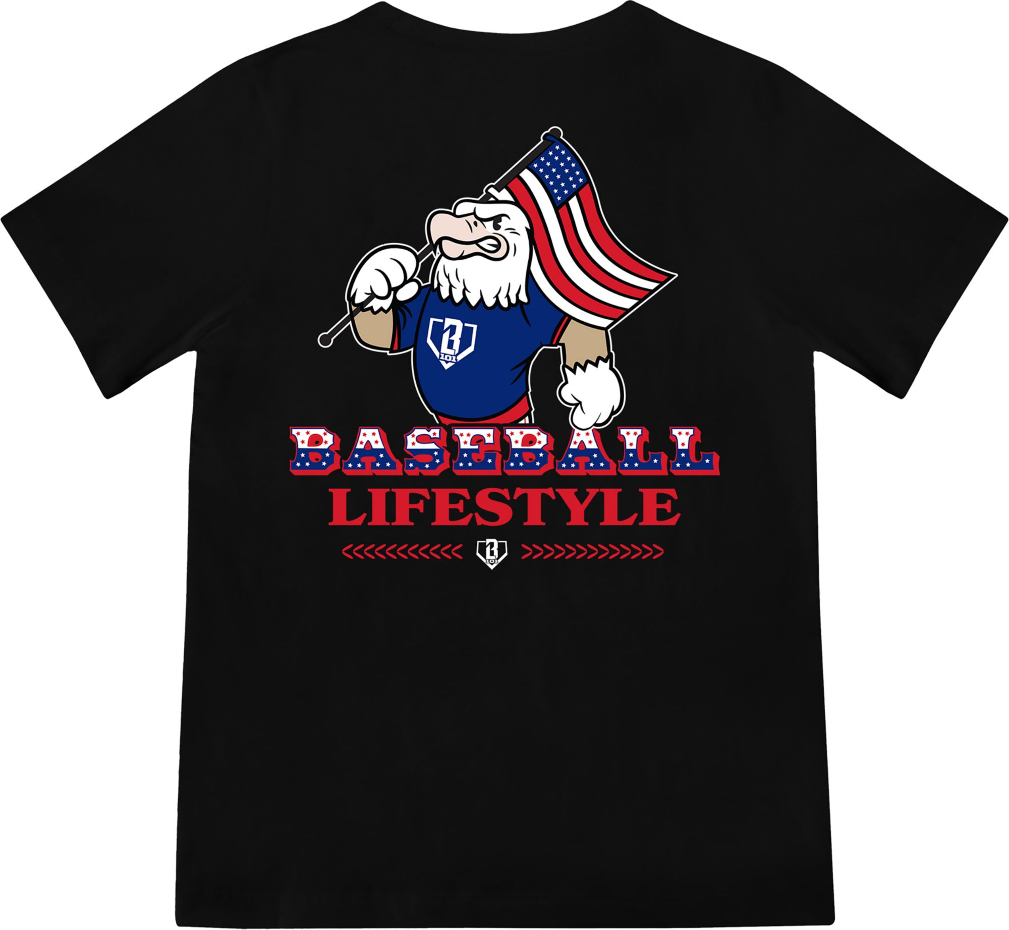 Baseball Lifestyle 101 Boys' Patriot Pitch T-Shirt product image