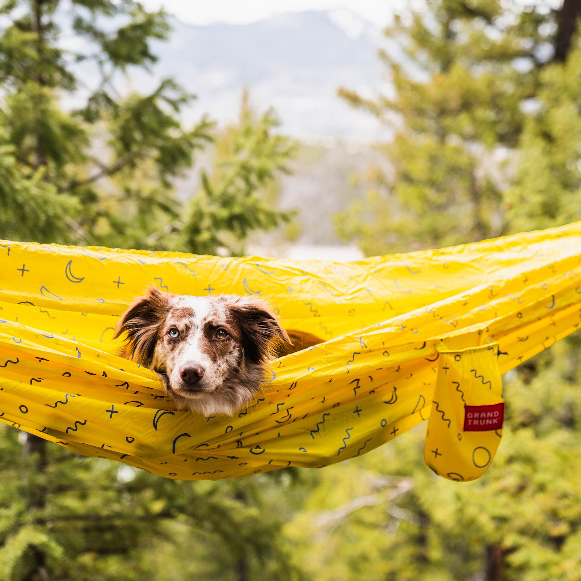 Grand Trunk TrunkTech Double Printed Hammock product image