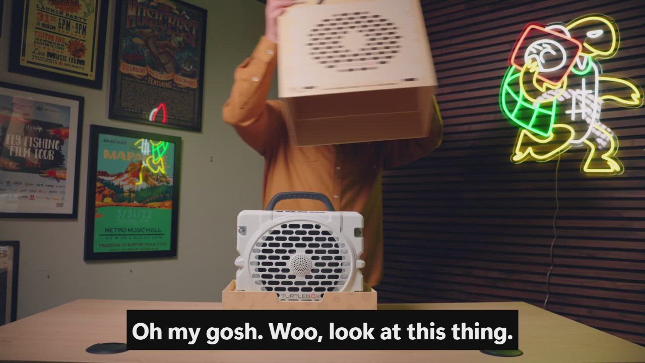 Turtlebox Grande Speaker product