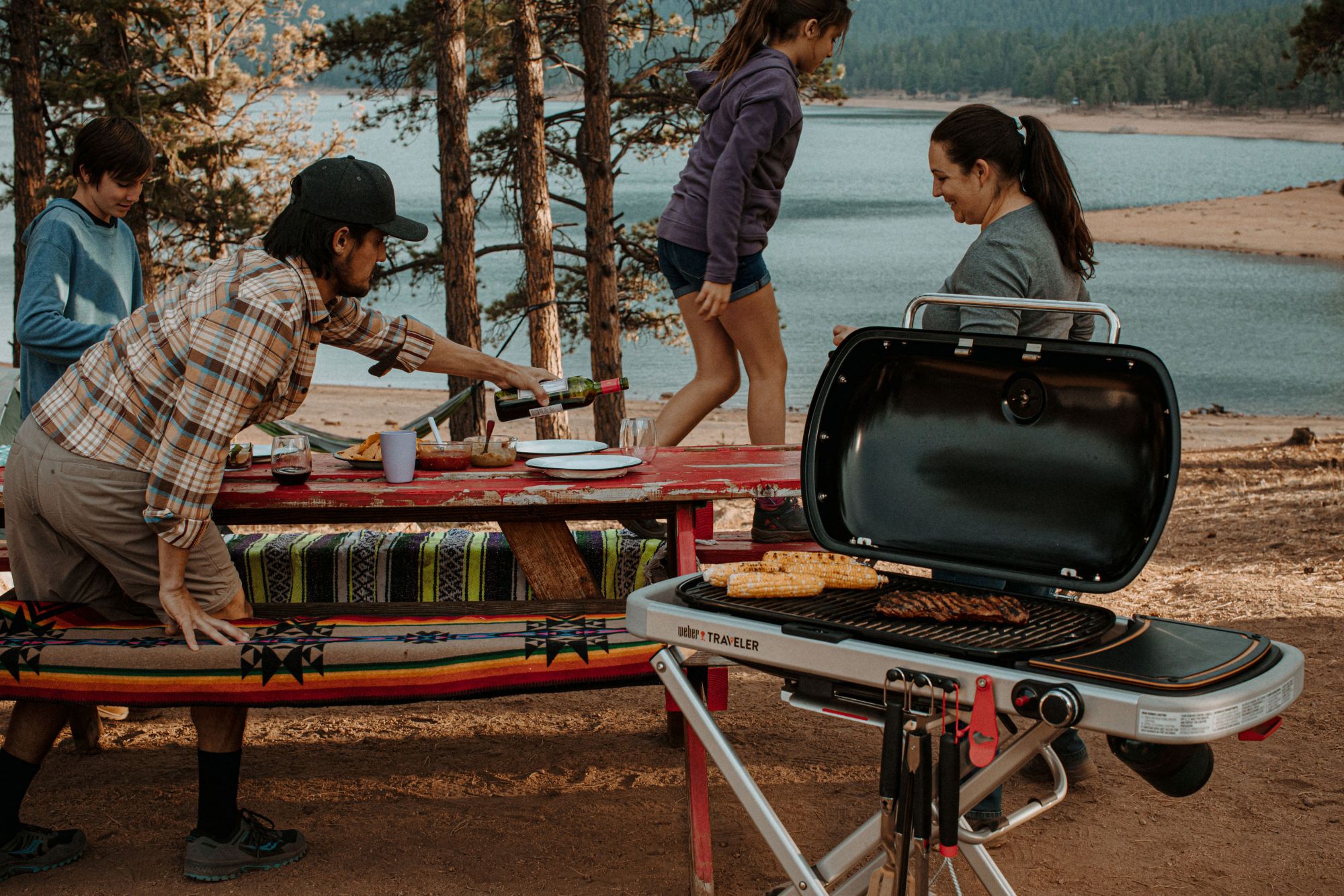 Weber Traveler Portable Gas Grill product image