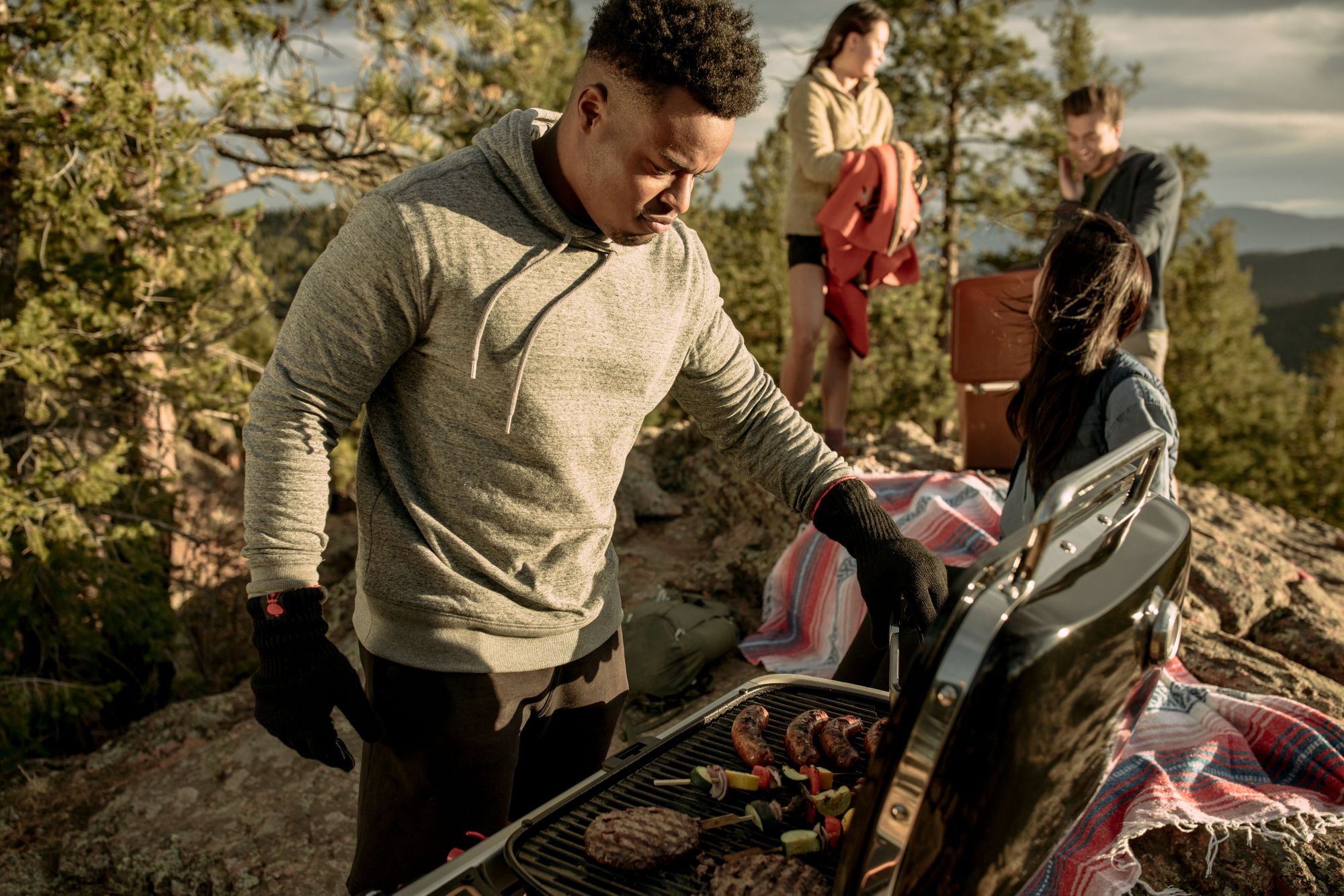 Weber Traveler Portable Gas Grill product image