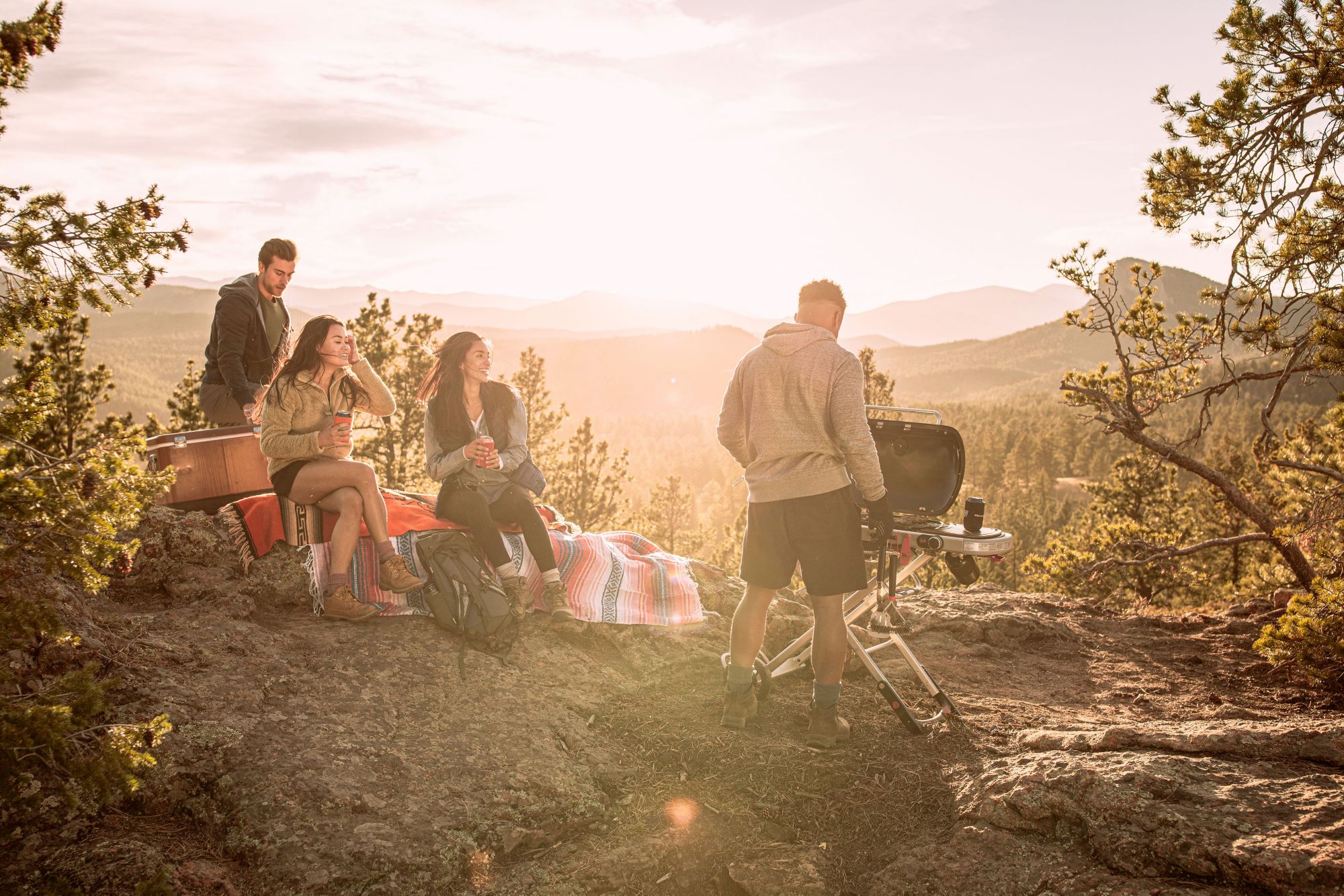 Weber Traveler Portable Gas Grill product image