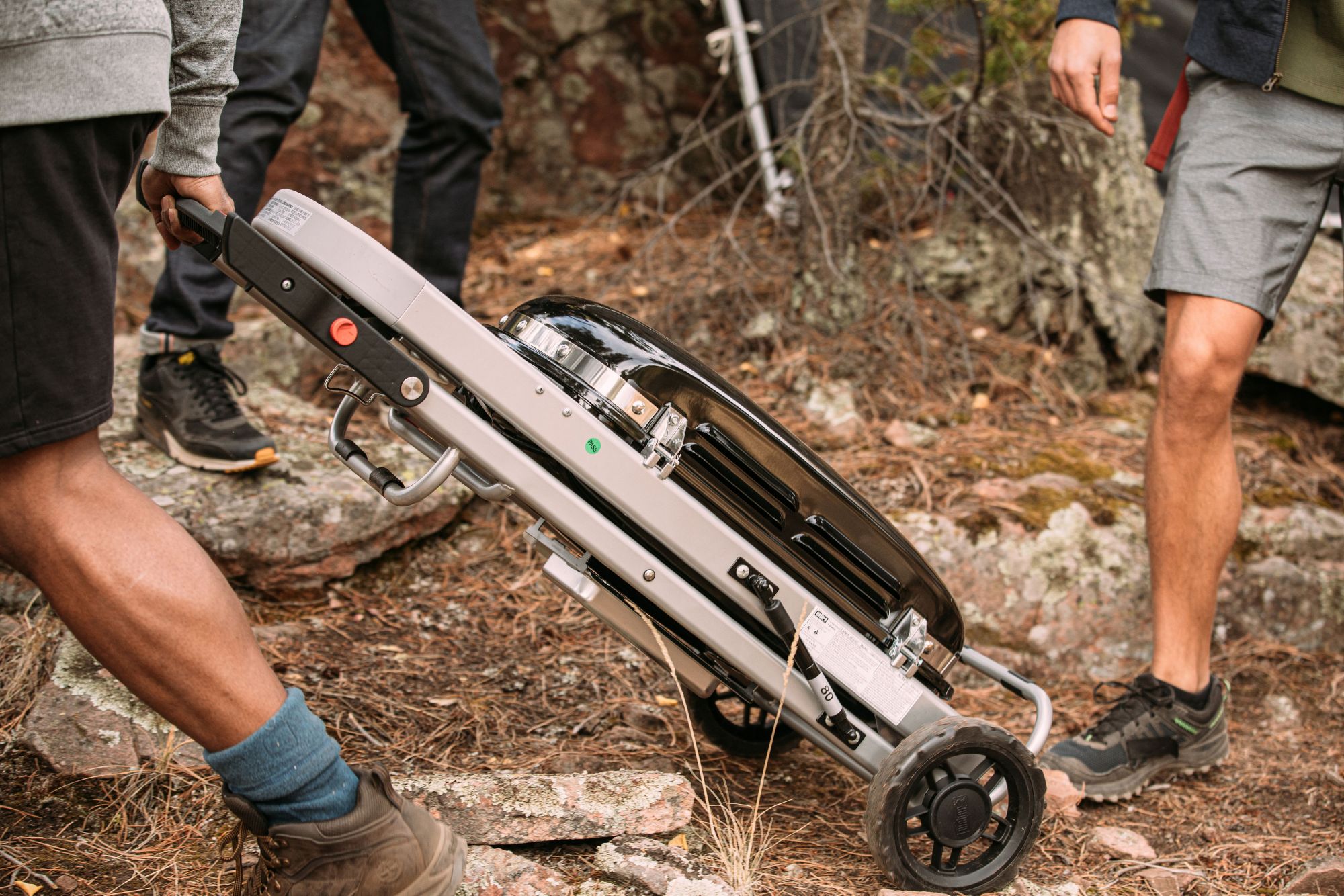 Weber Traveler Portable Gas Grill product image