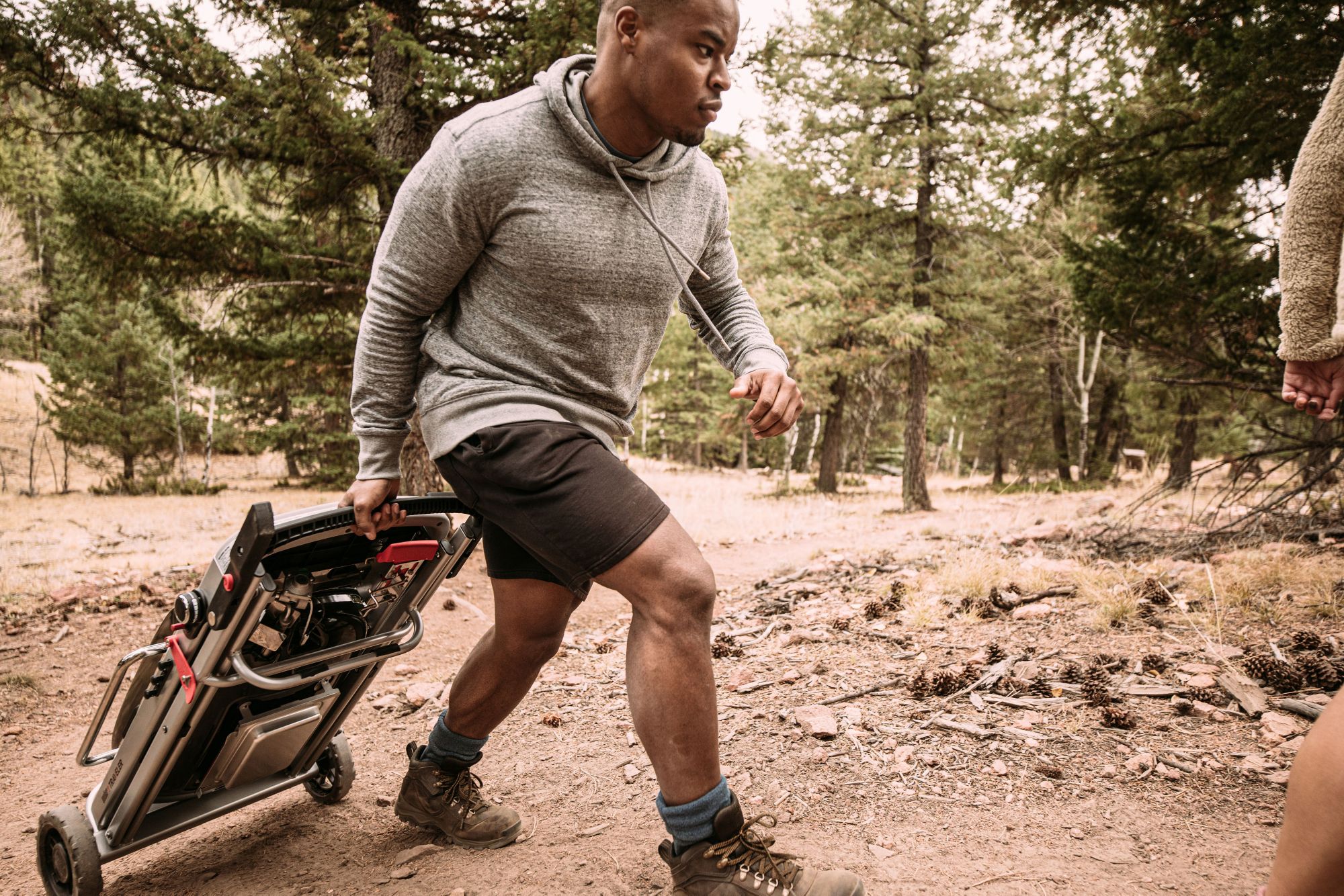 Weber Traveler Portable Gas Grill product image