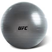 UFC Fit Ball product image