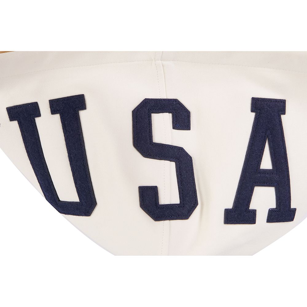 Pro Standard Adult USMNT Off White Chenille Pullover Hoodie product image