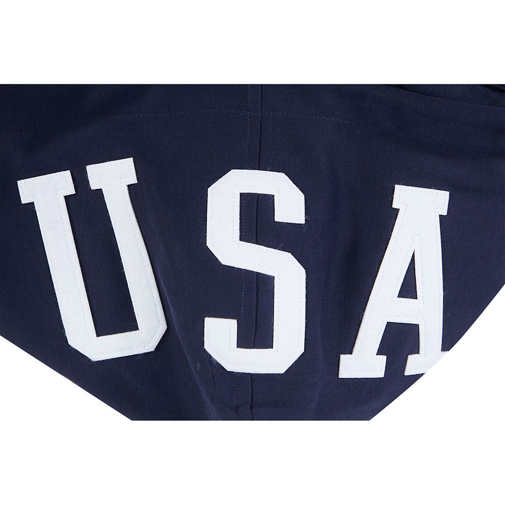 Pro Standard Adult USMNT Navy Chenille Pullover Hoodie product image