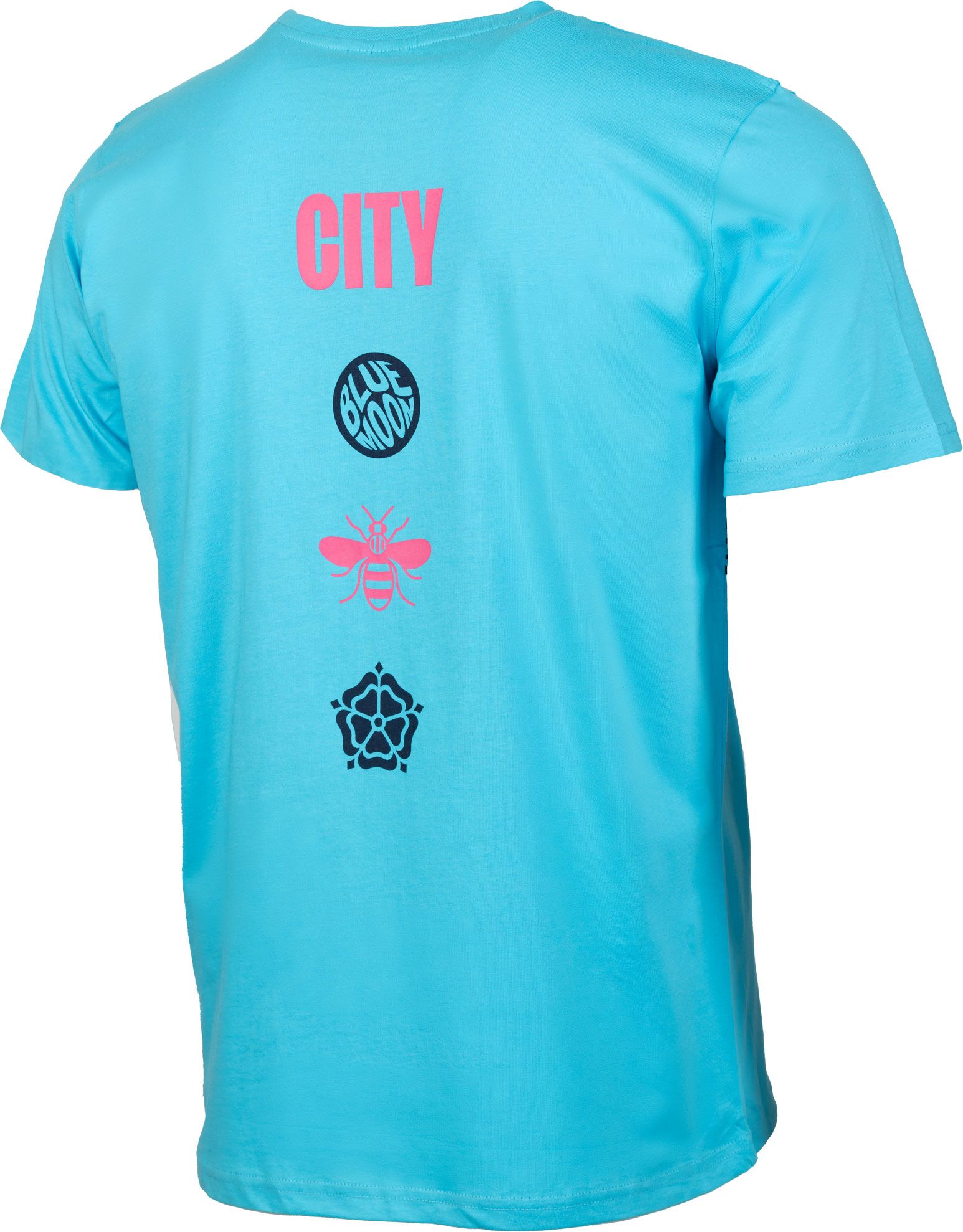 Sport Design Sweden Adult Manchester City 2023-2024 Inspiration Blue T-Shirt product image