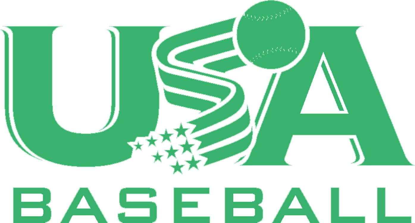 Rawlings Threat USA Youth Bat (-12) product image