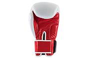 UFC True Thai Training Gloves product image