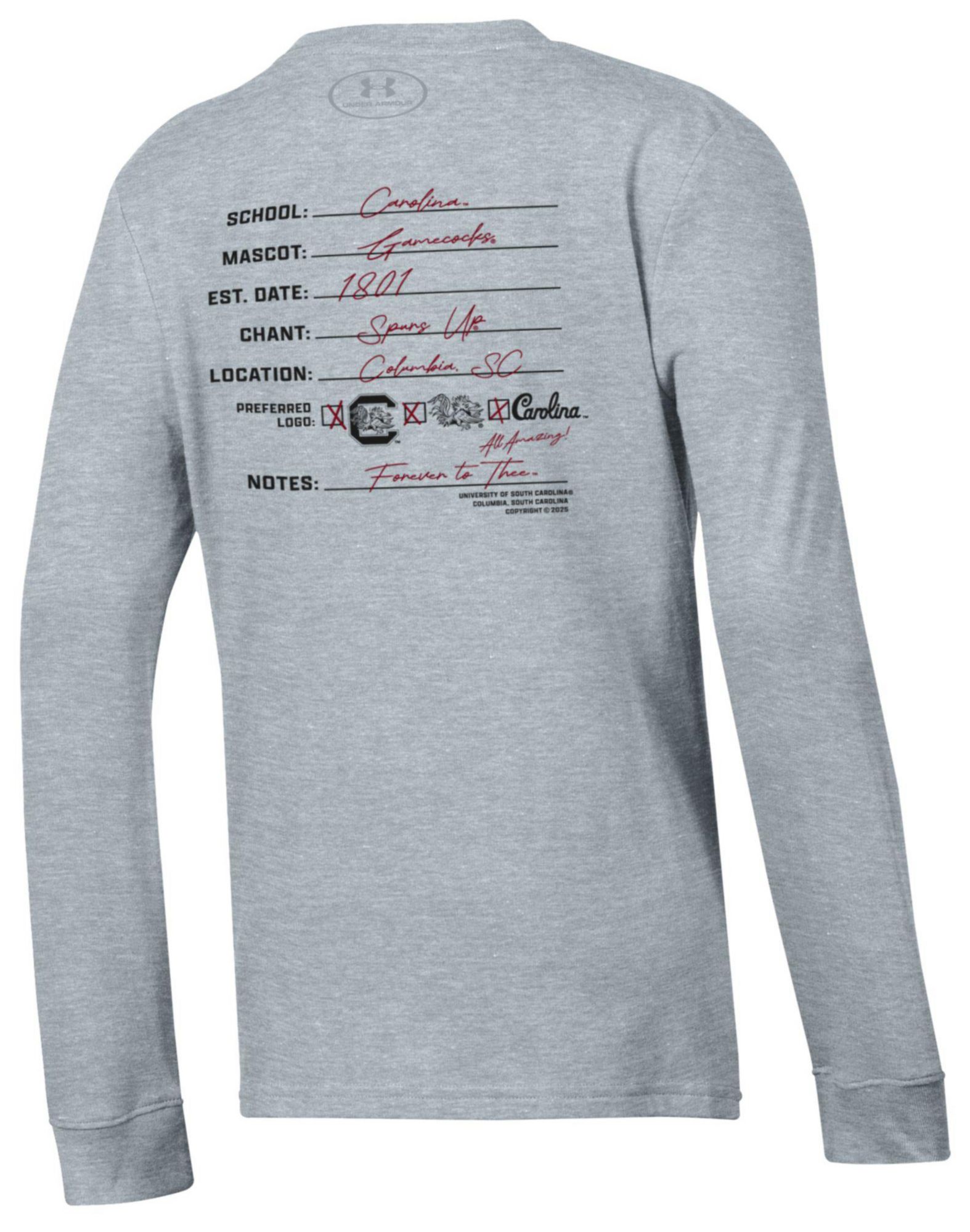 Under Armour Youth South Carolina Gamecocks Grey Performance Cotton Long Sleeve T-Shirt product image