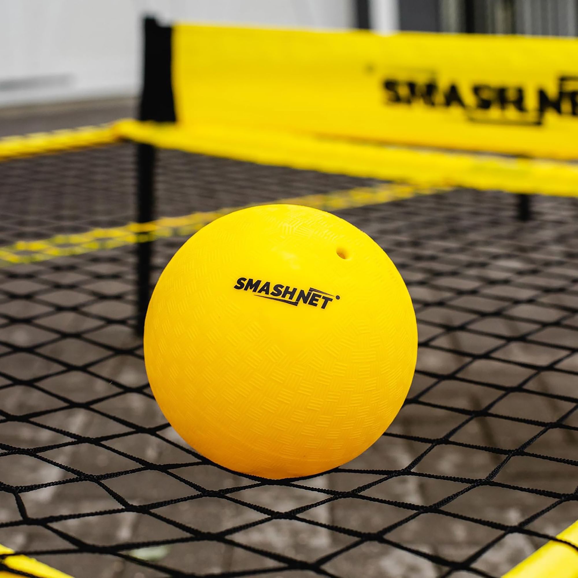 SMASHNET product image