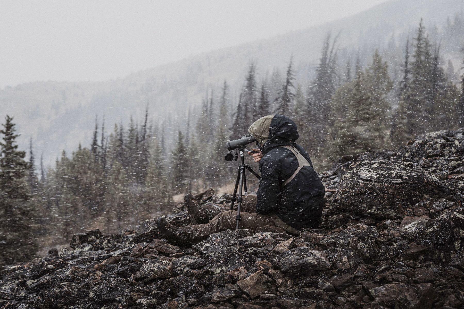 Vortex Razor UHD 10x50 Binoculars product image