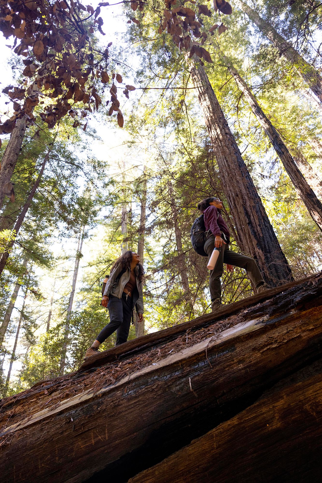 Hydro Flask 24 oz. Wide Mouth Bottle with Flex Straw Cap product image
