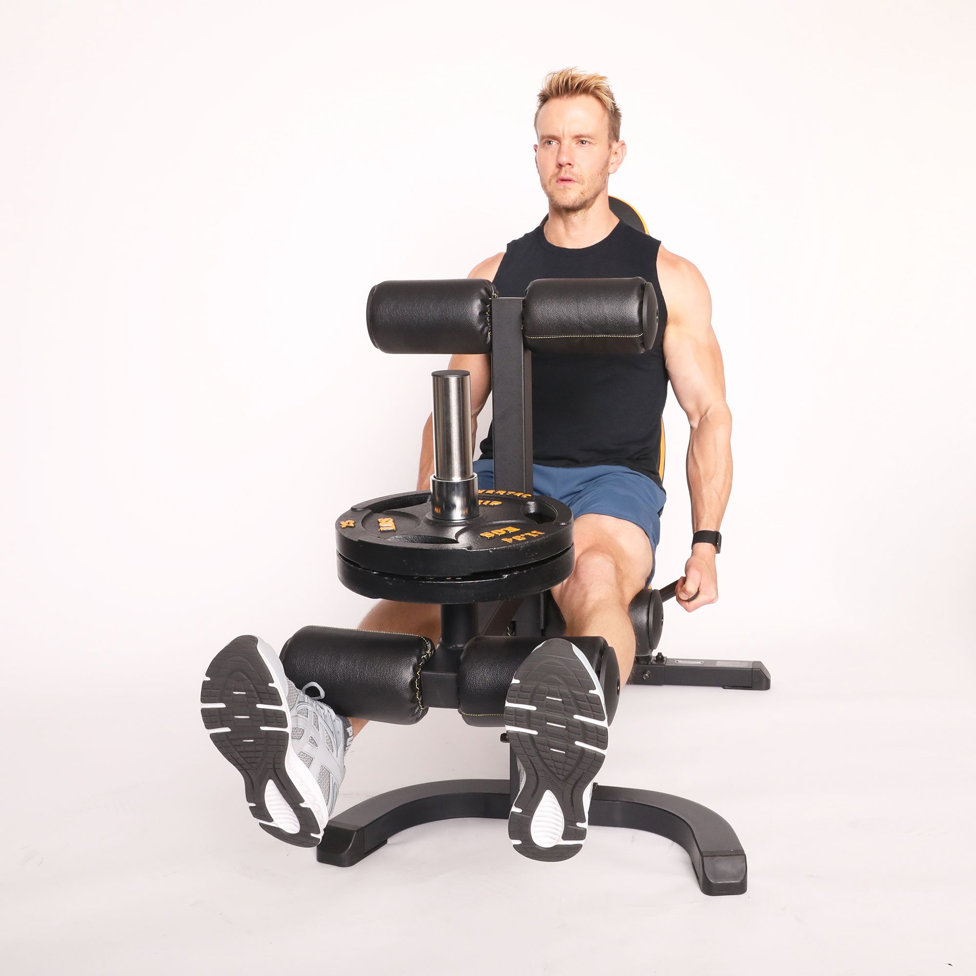 Powertec  Leg Lift/Leg Curl Attachment product image