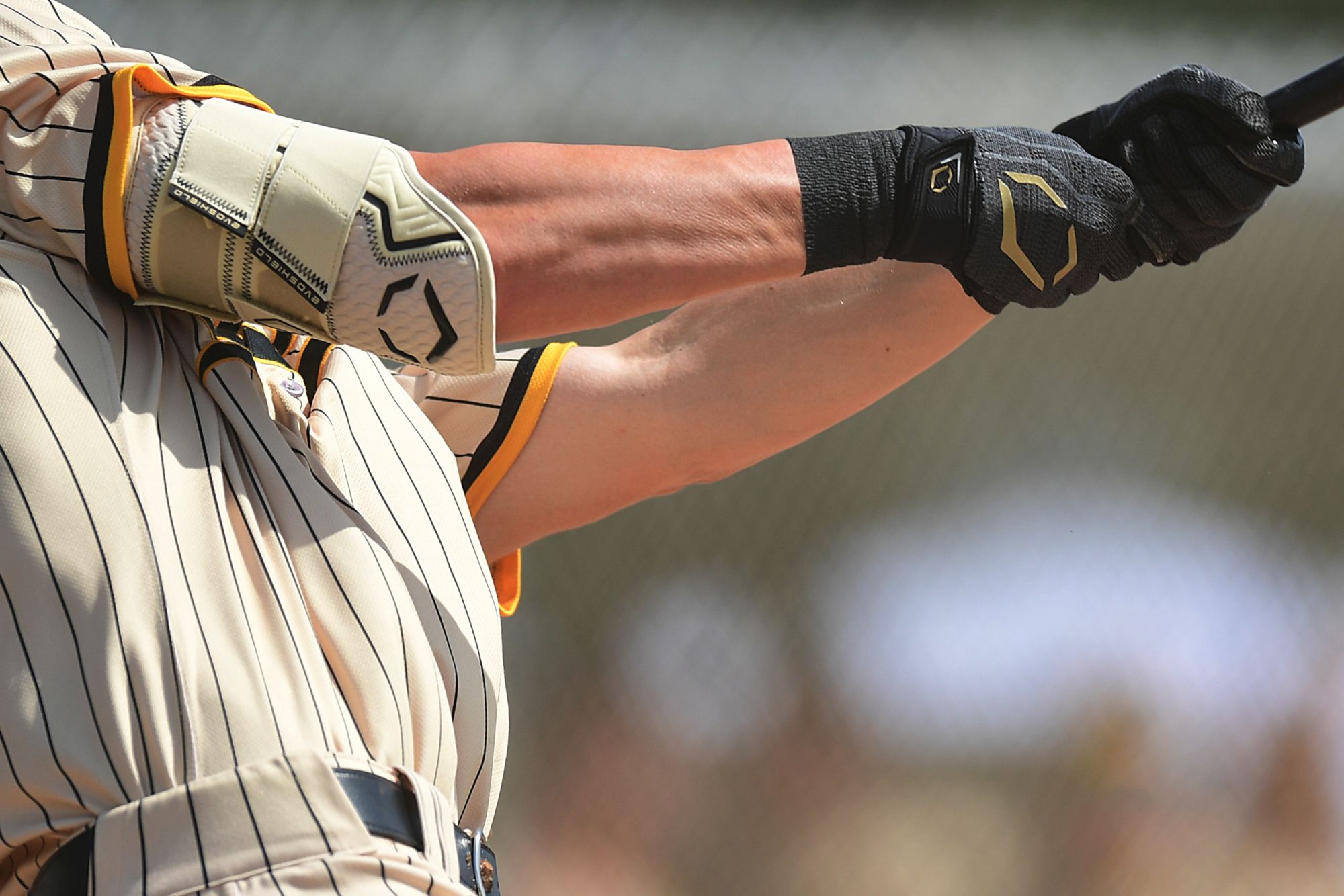 EvoShield Pro-SRZ 2.0 Double Strap Batter's Elbow Guard product image