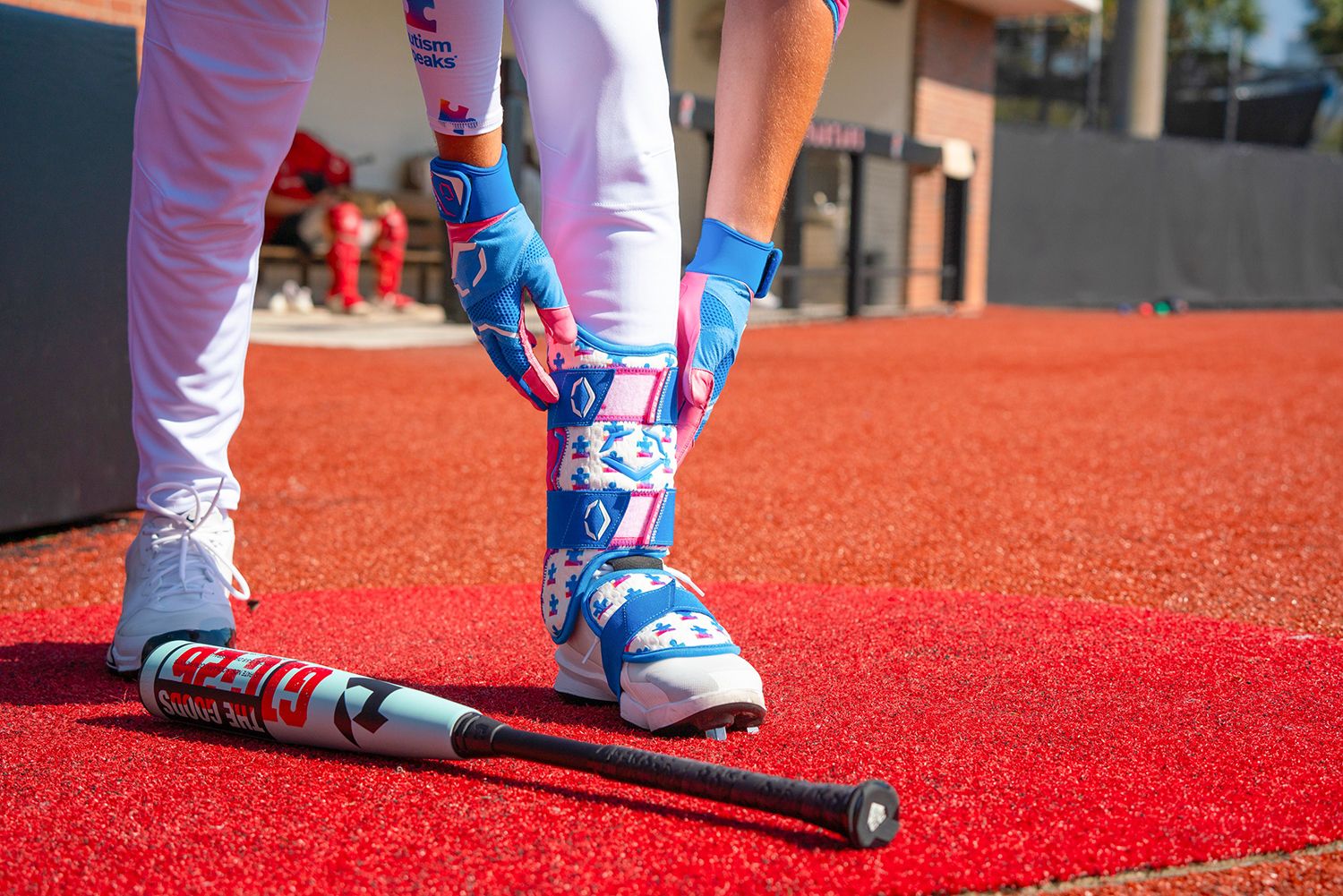 EvoShield Pro-SRZ 2.0 Love The Moment Batter's Leg Guard product image