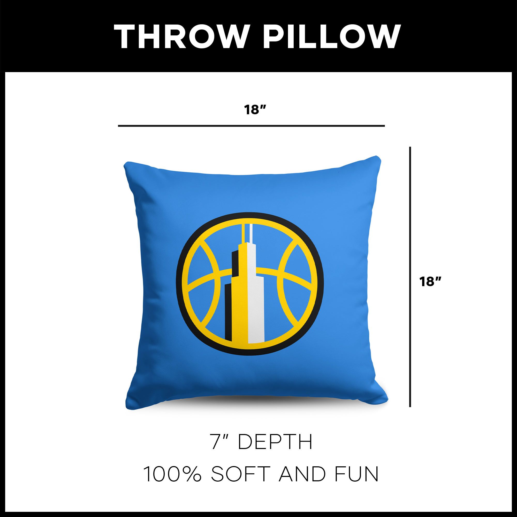Northwest Chicago Sky Multi Double Down Pillow product image