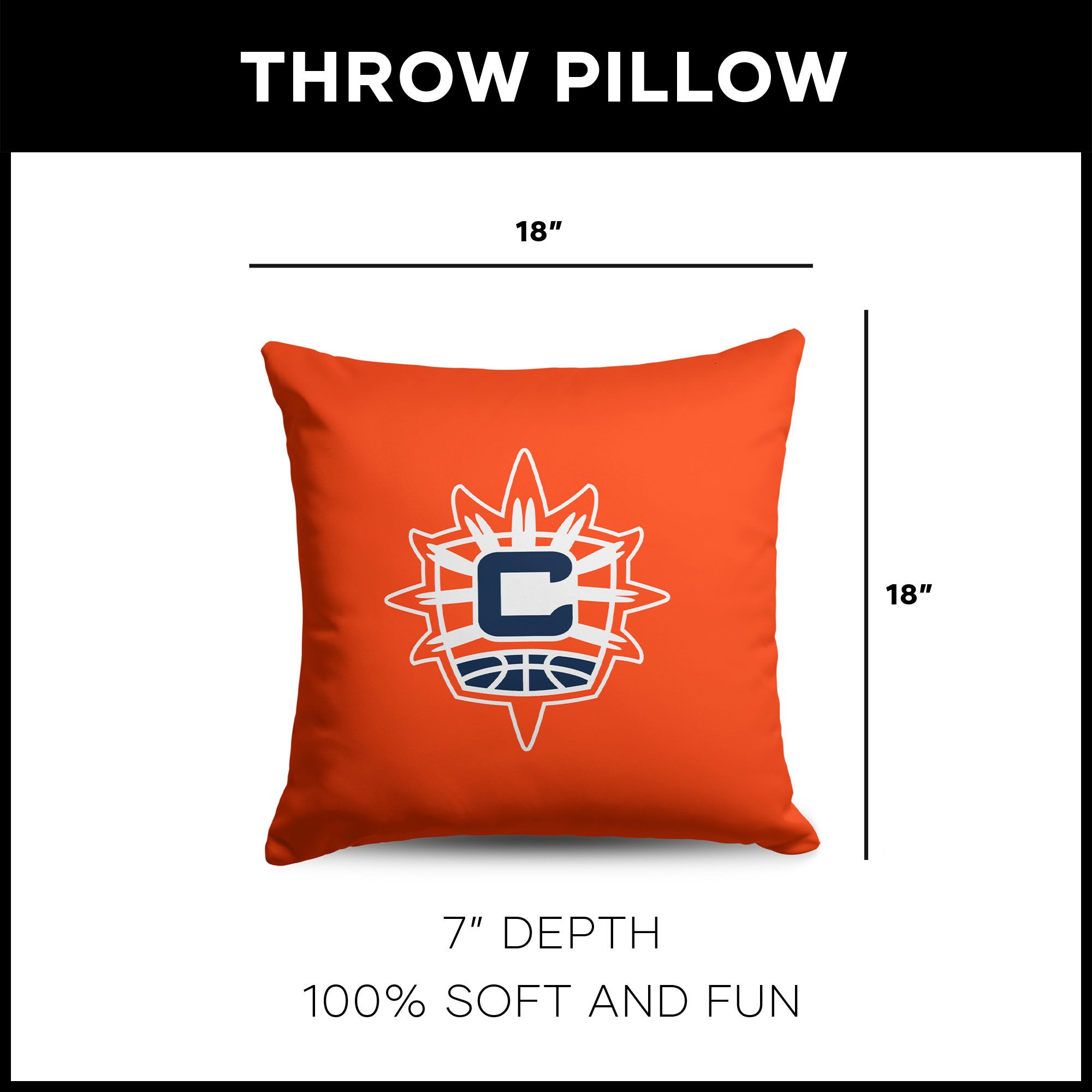 Northwest Connecticut Sun Multi Double Down Pillow product image