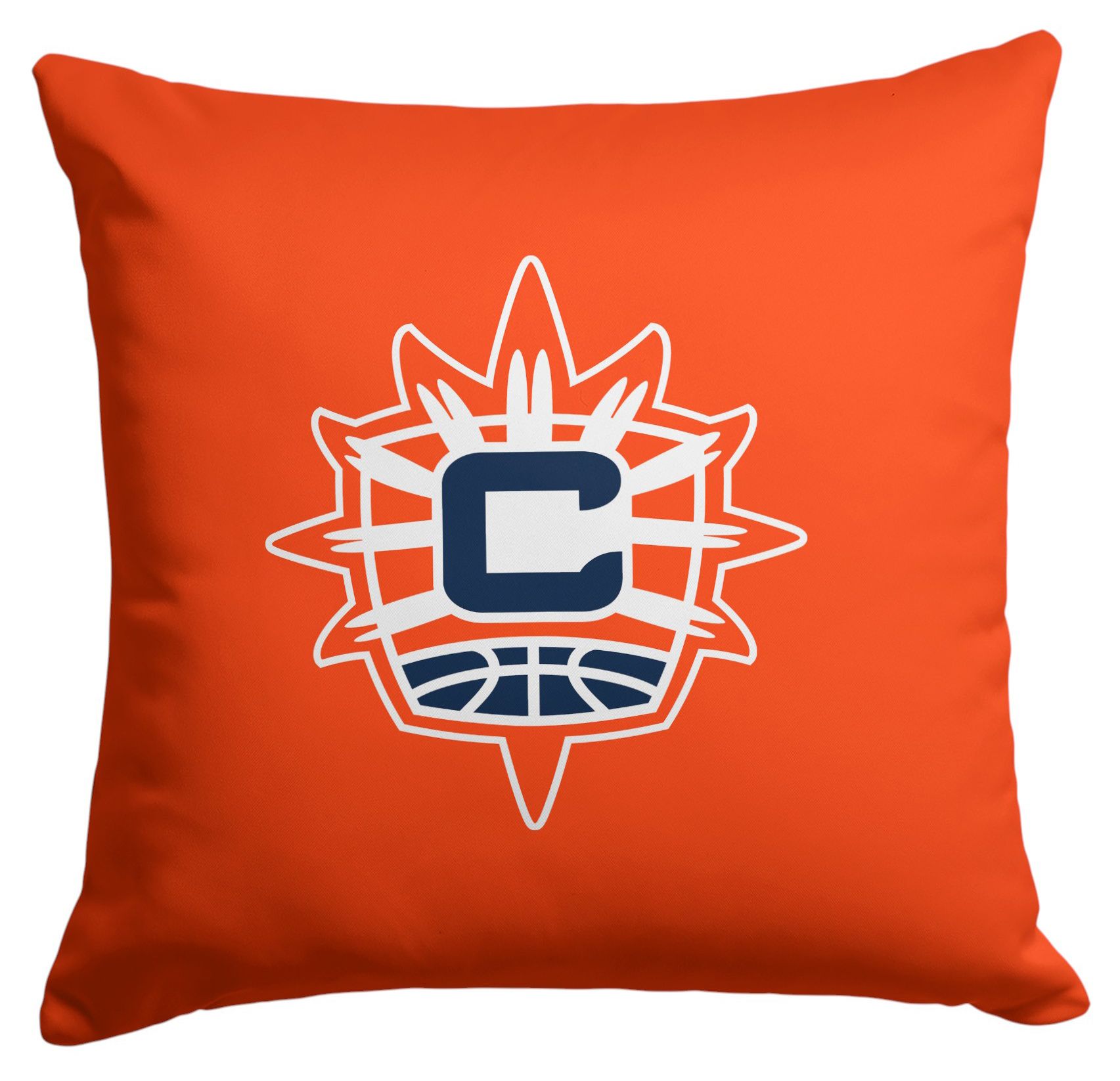 Northwest Connecticut Sun Multi Double Down Pillow product image