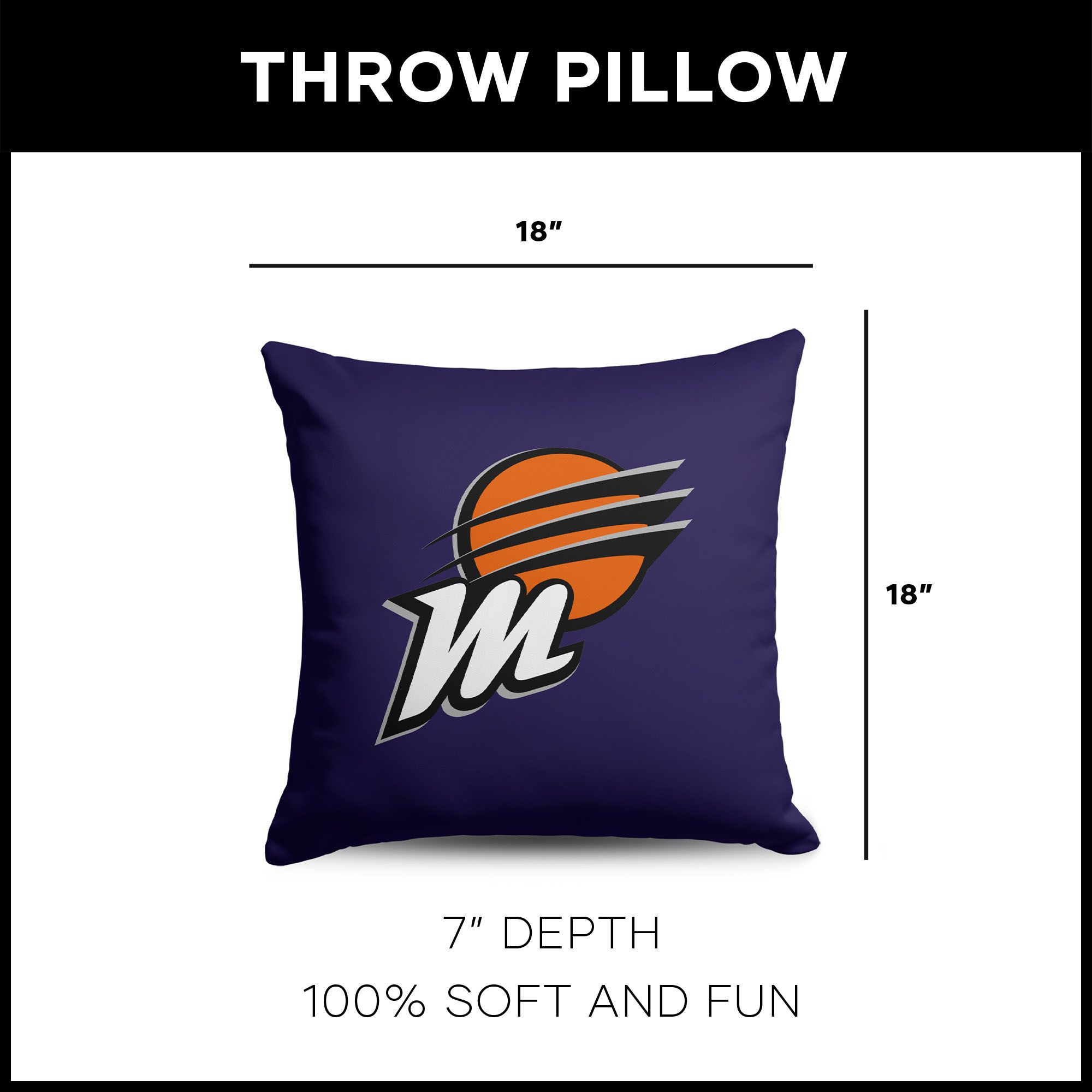 Northwest Phoenix Mercury Multi Double Down Pillow product image
