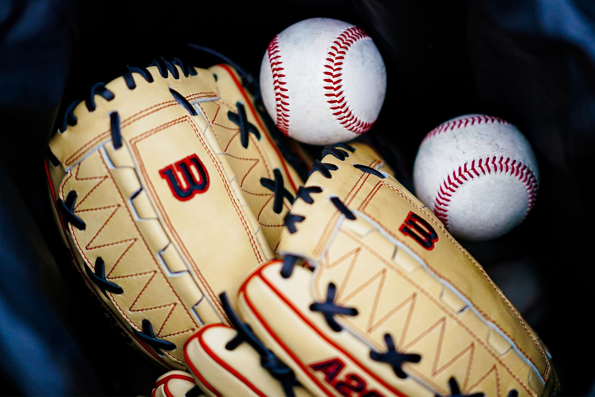 Wilson 12" DH12 A2000 Series Glove product image