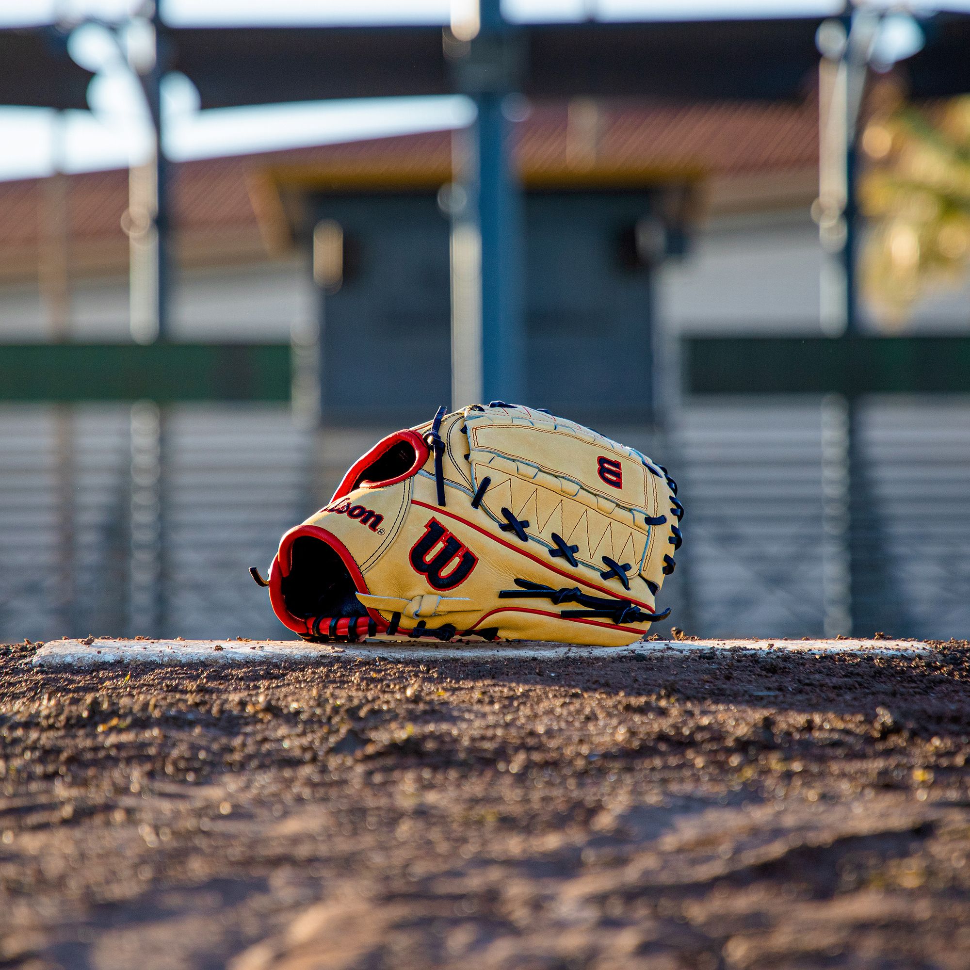Wilson 12" DH12 A2000 Series Glove product image