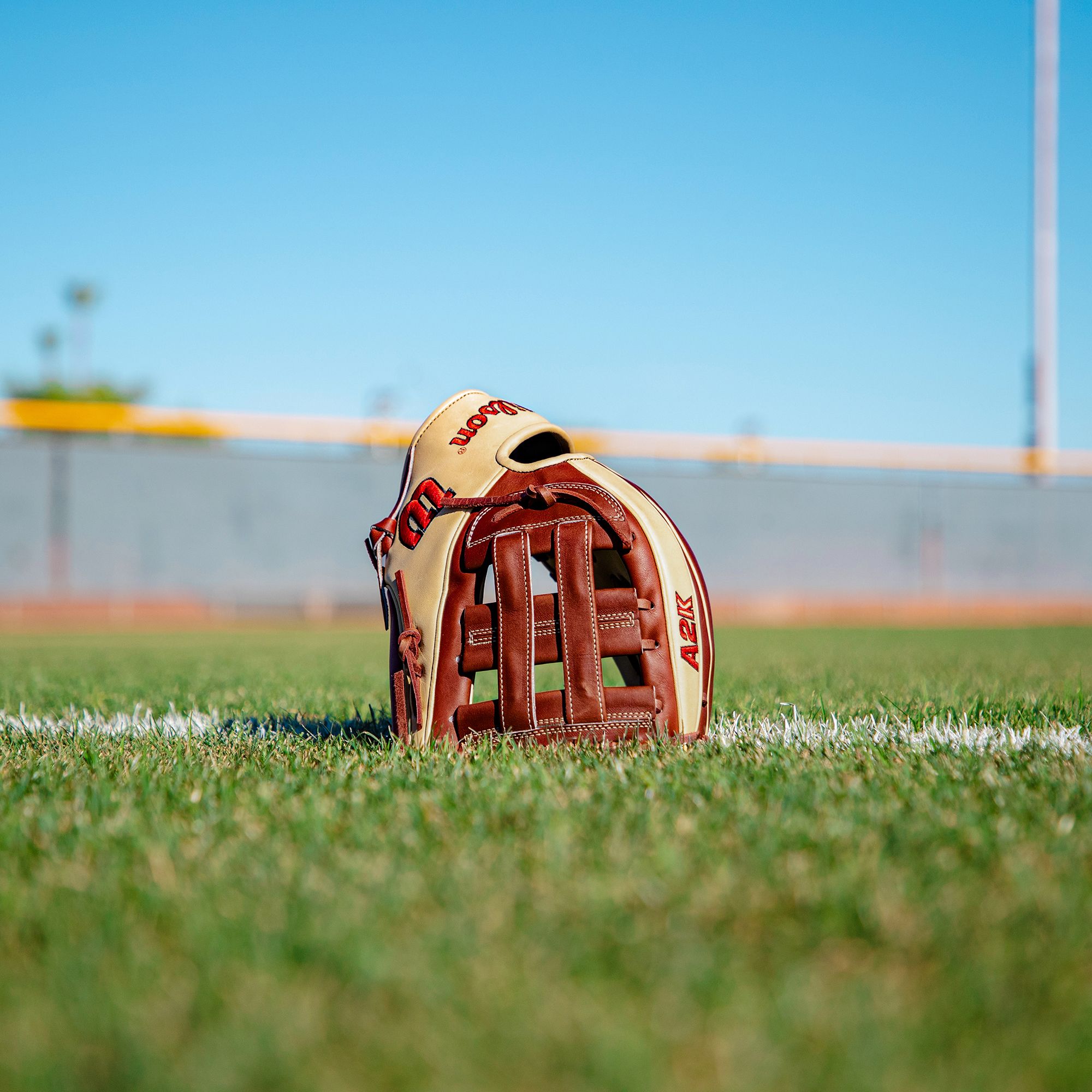 Wilson 12" DW5 A2K Series Glove product image