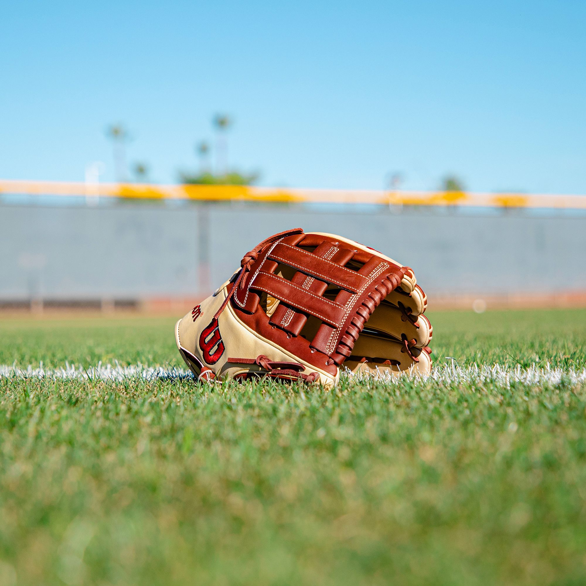 Wilson 12" DW5 A2K Series Glove product image