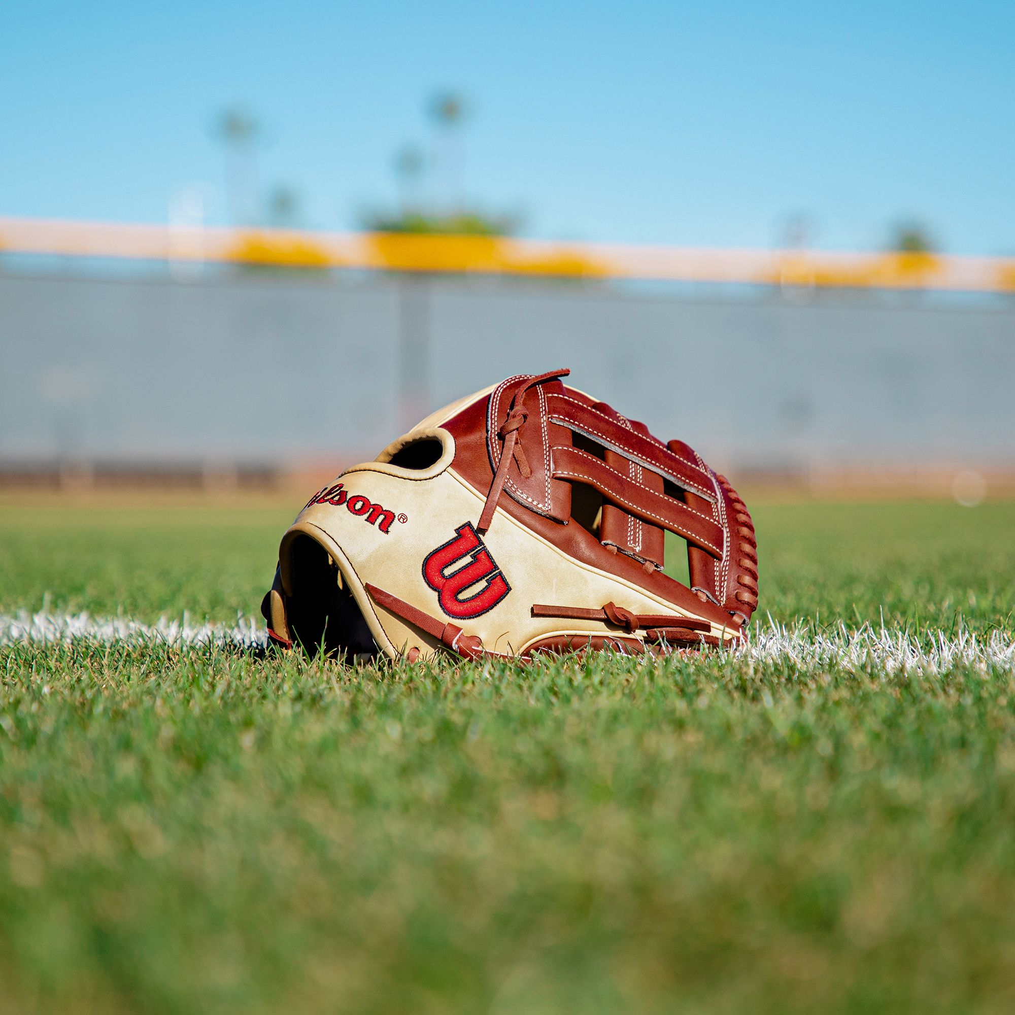 Wilson 12" DW5 A2K Series Glove product image