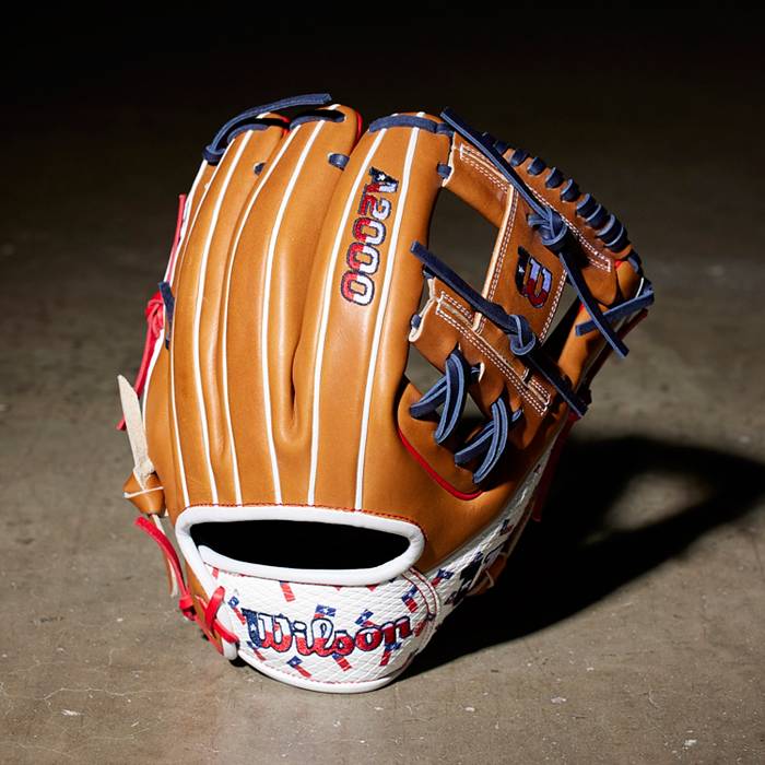 Other Signature Series Baseball Gloves & Mitts
