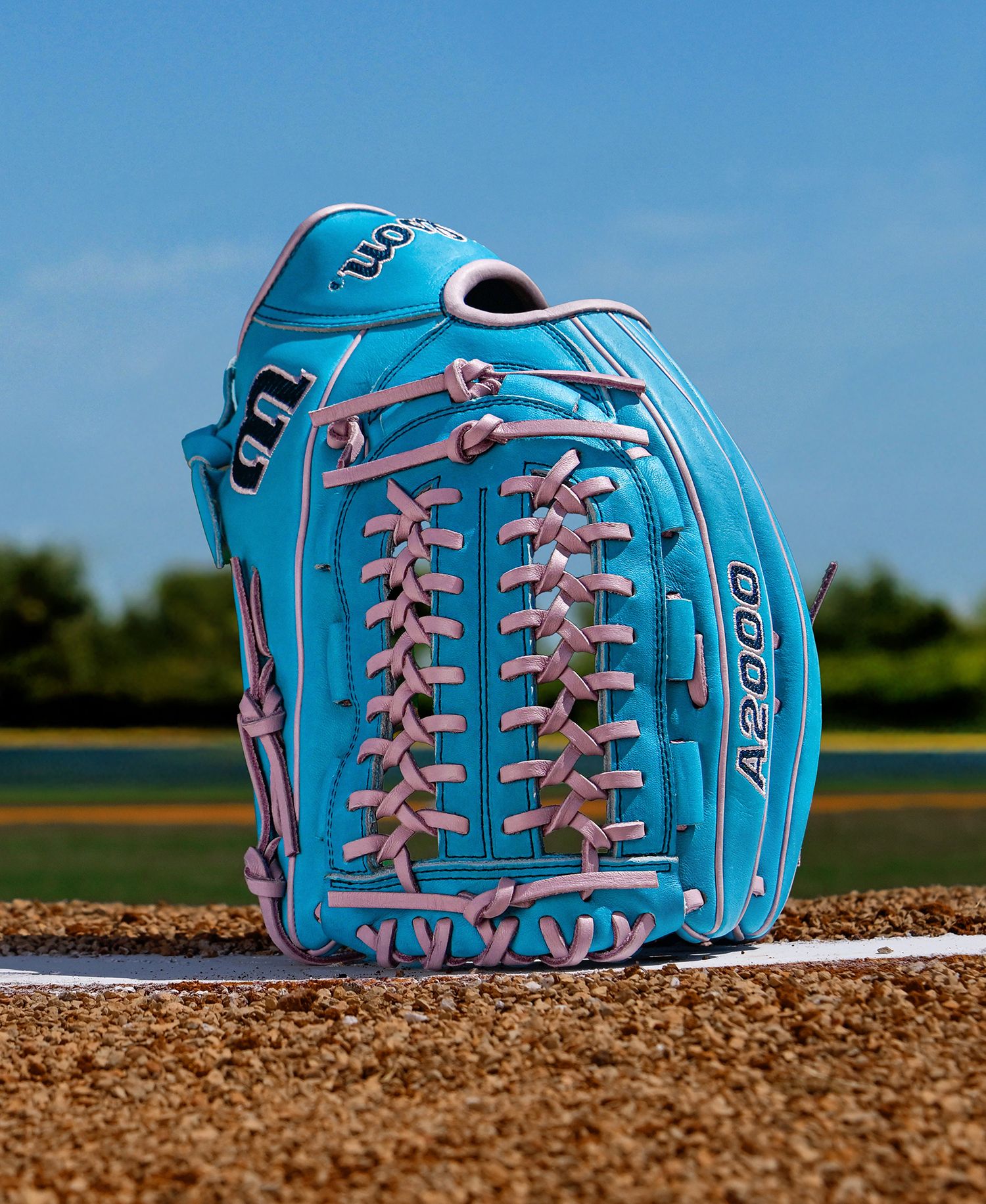 Wilson 12.5" D25 A2000 Series Glove product image