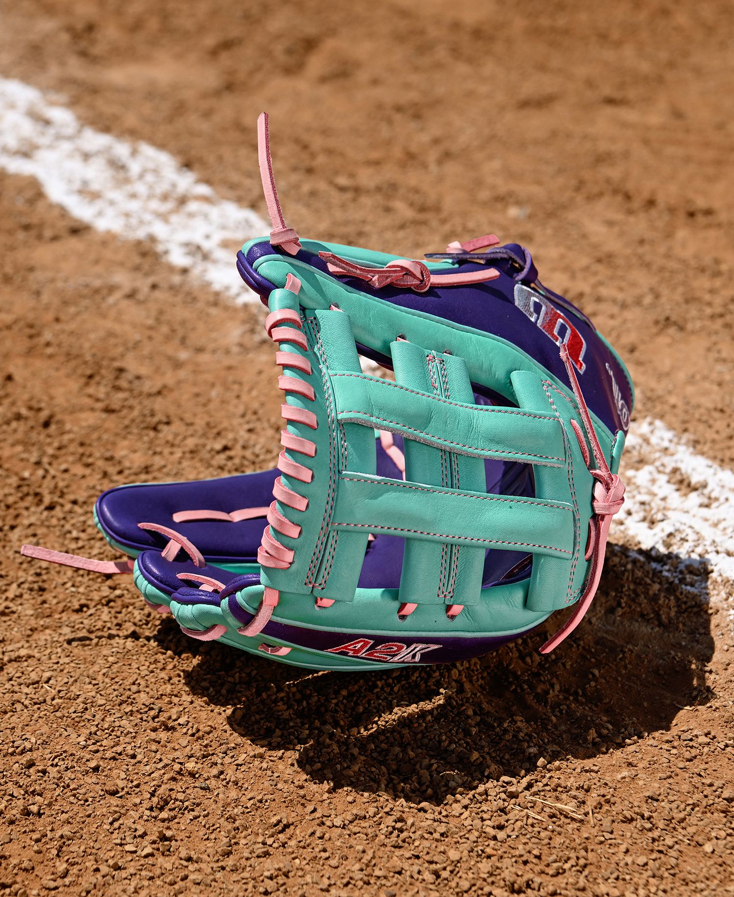 Wilson 11.5" DW5 A2K Series Glove product image