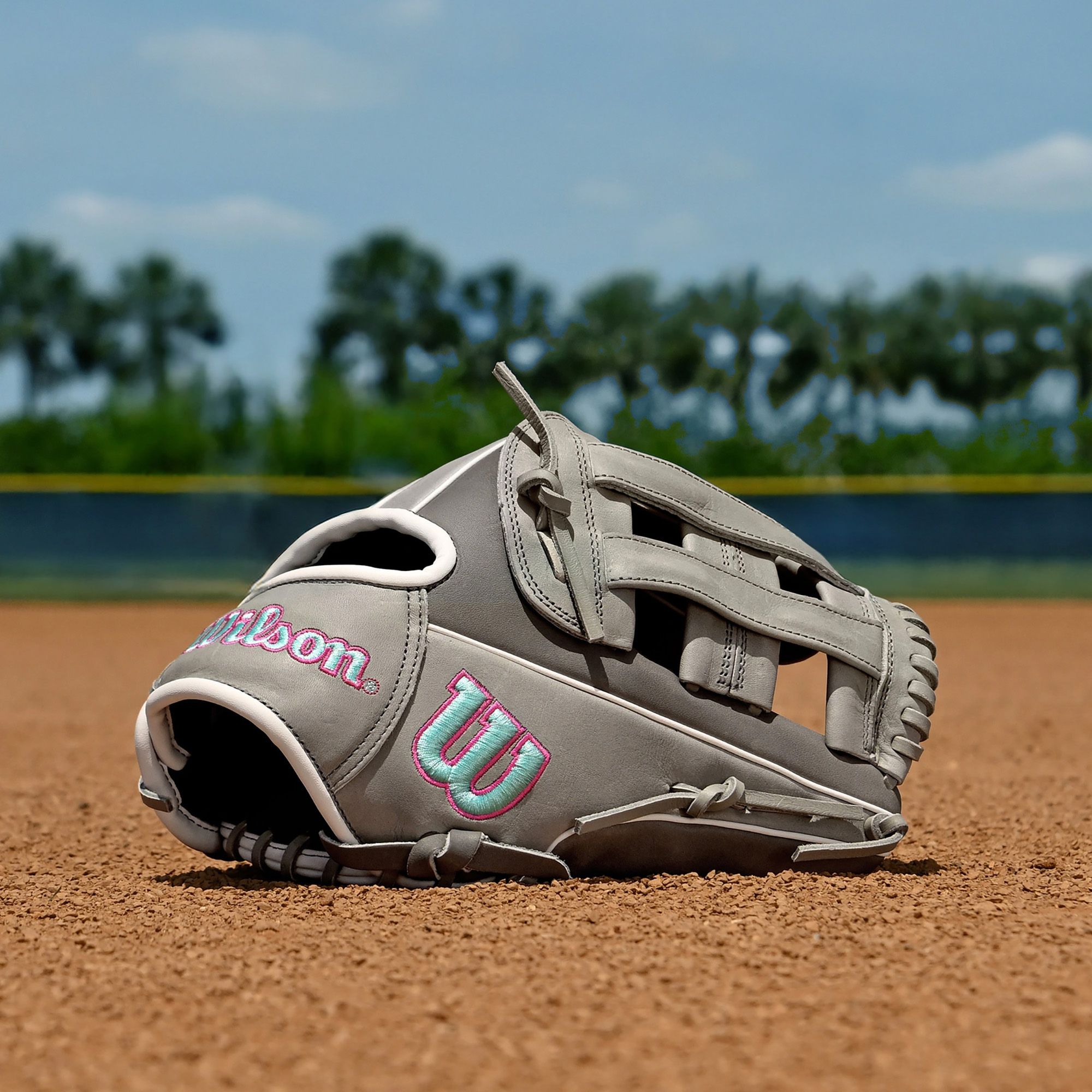 Wilson 12" DW5 A1000 Series Glove product image