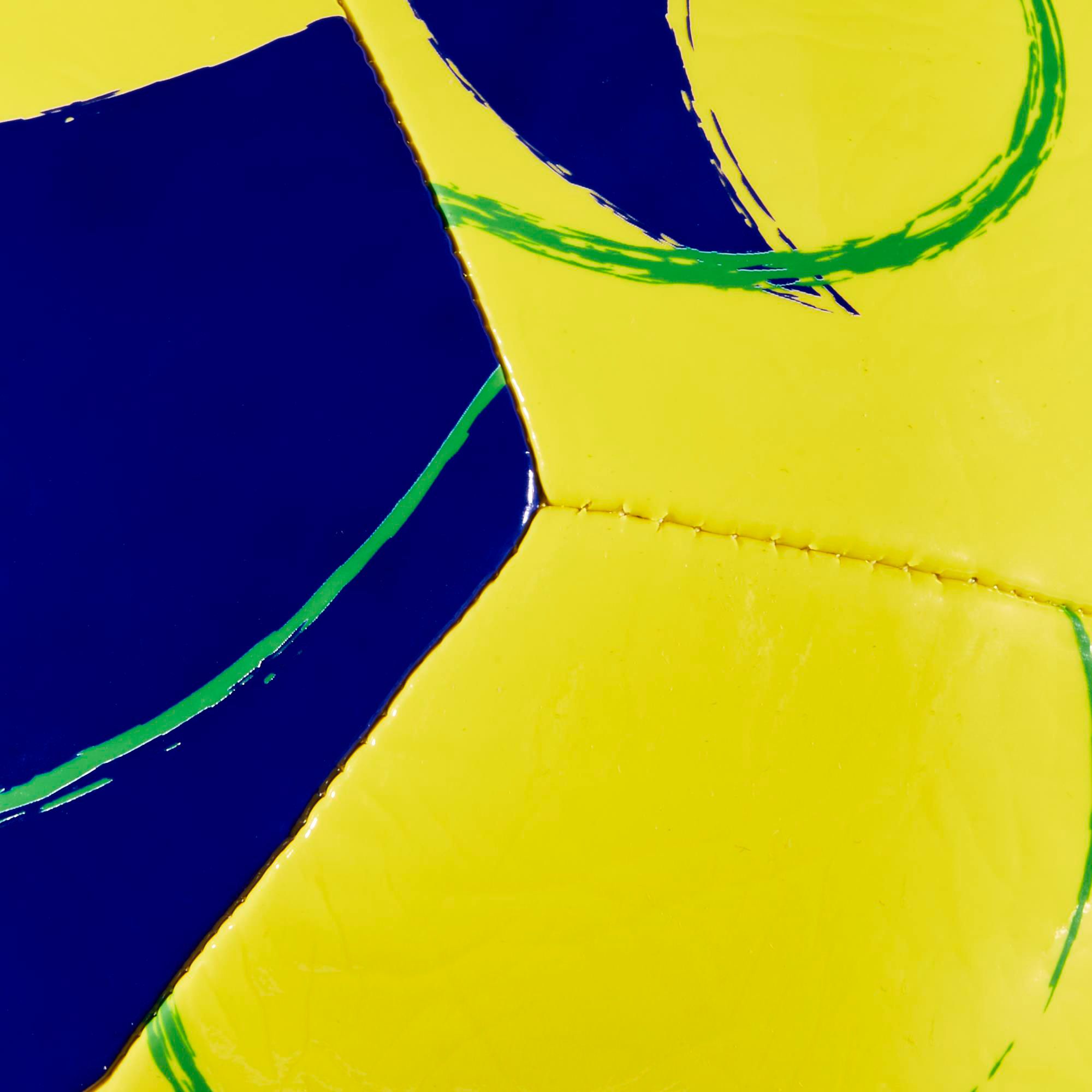 DICK'S Sporting Goods Brazil Soccer Ball product image