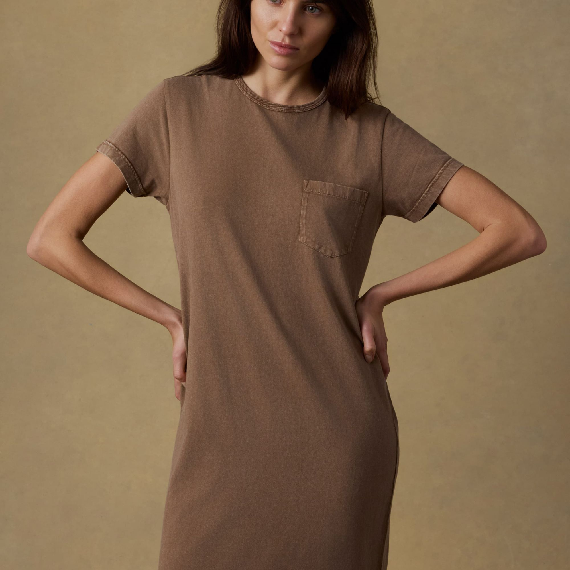 Faherty Women's Cotton Jersey T-Shirt Dress product image
